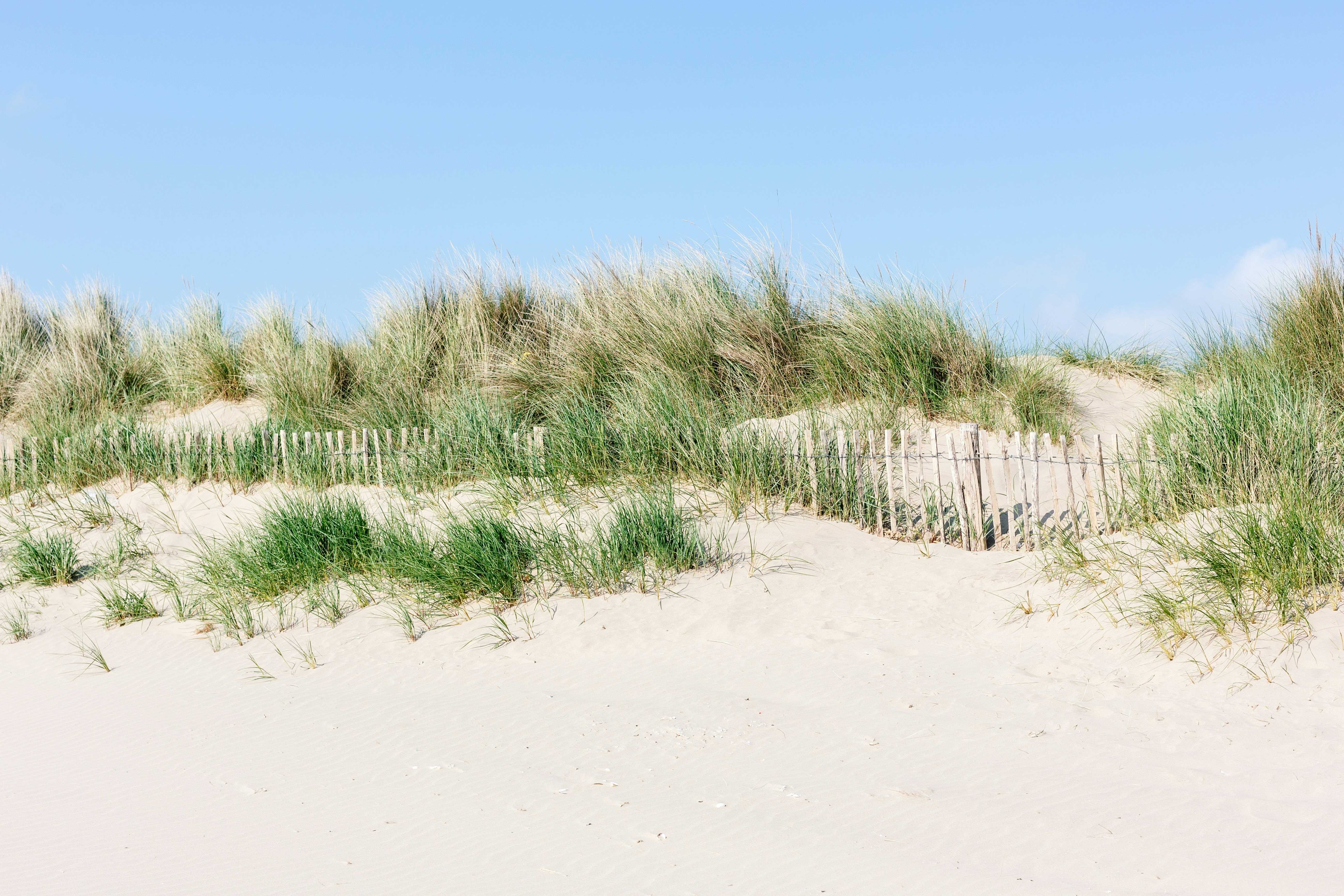 Photo by nataliekinnear