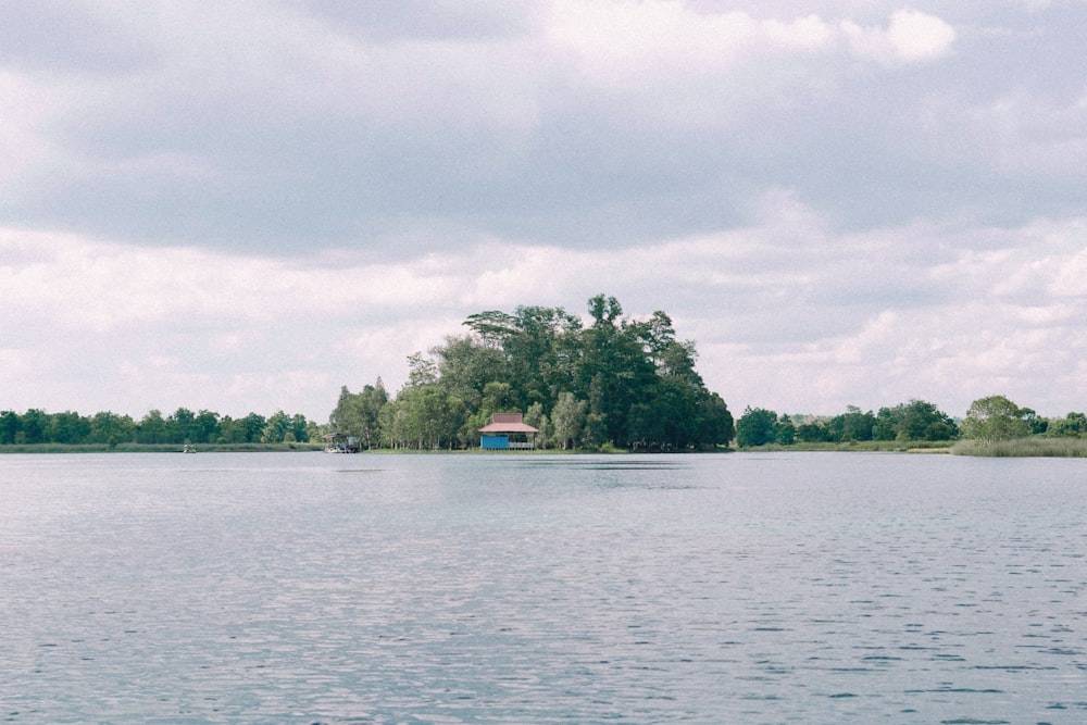 a body of water with trees in the background