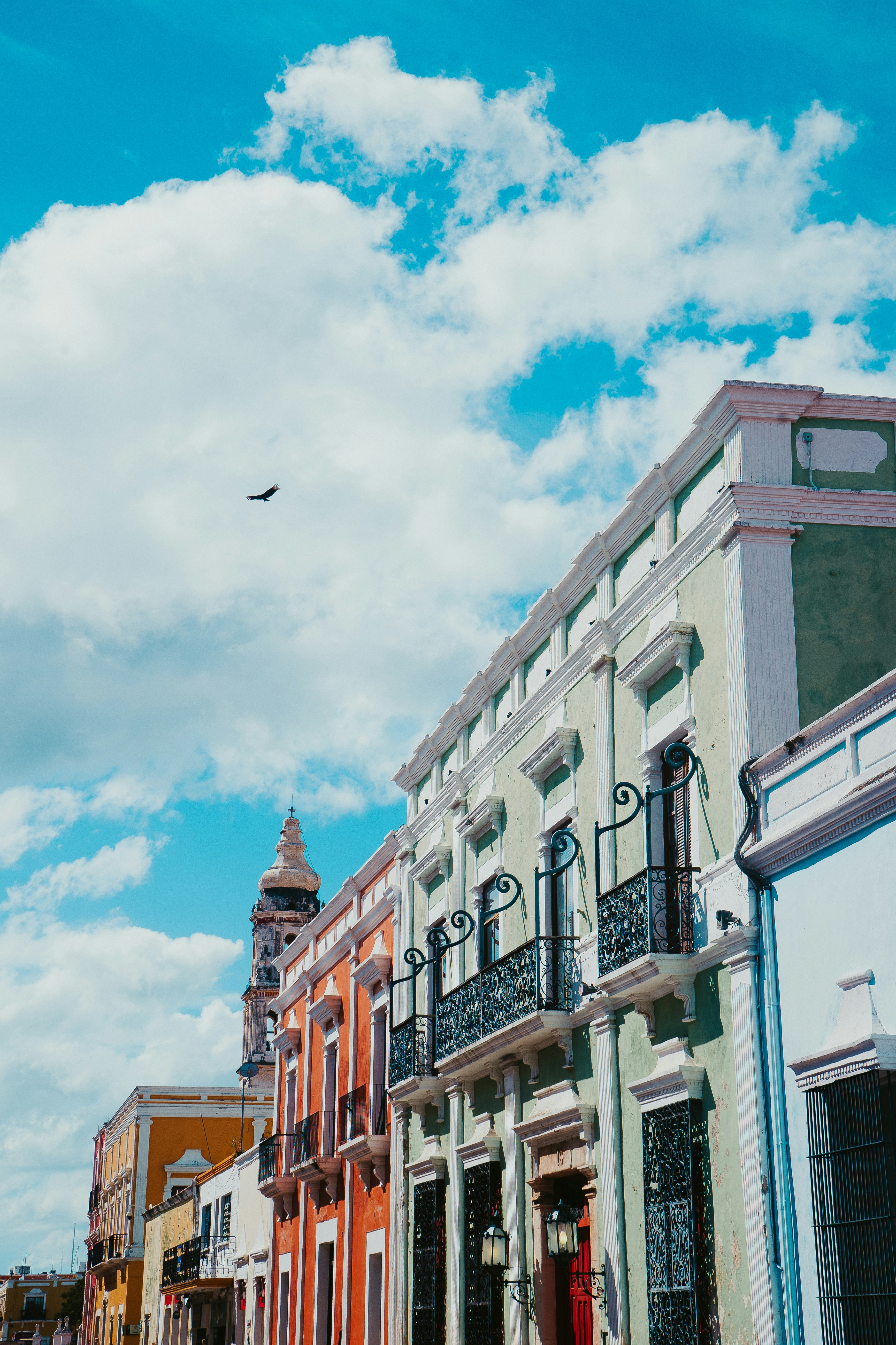 a bird flying over a row of colorful buildings