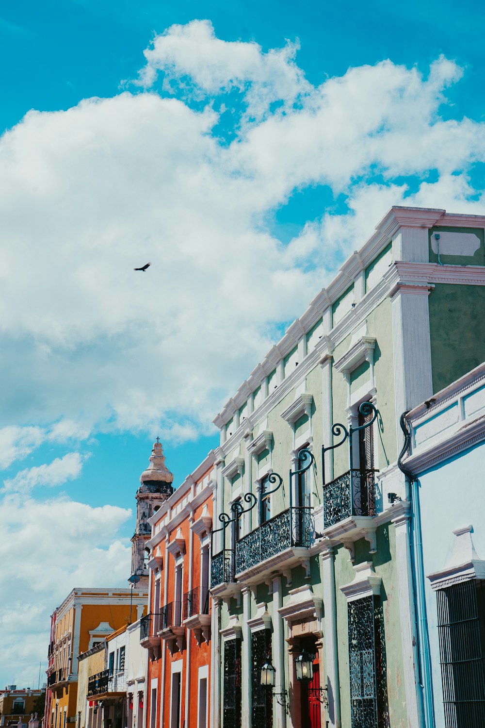 a bird flying over a row of colorful buildings