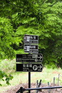 A set of black and white direction signs with text in multiple languages, including English and Japanese, indicates the way to Shiraito no Taki Waterfalls, Otodome no Taki Waterfalls, toilets, an information center, and parking areas. Green foliage surrounds the signs, suggesting a lush, natural environment.