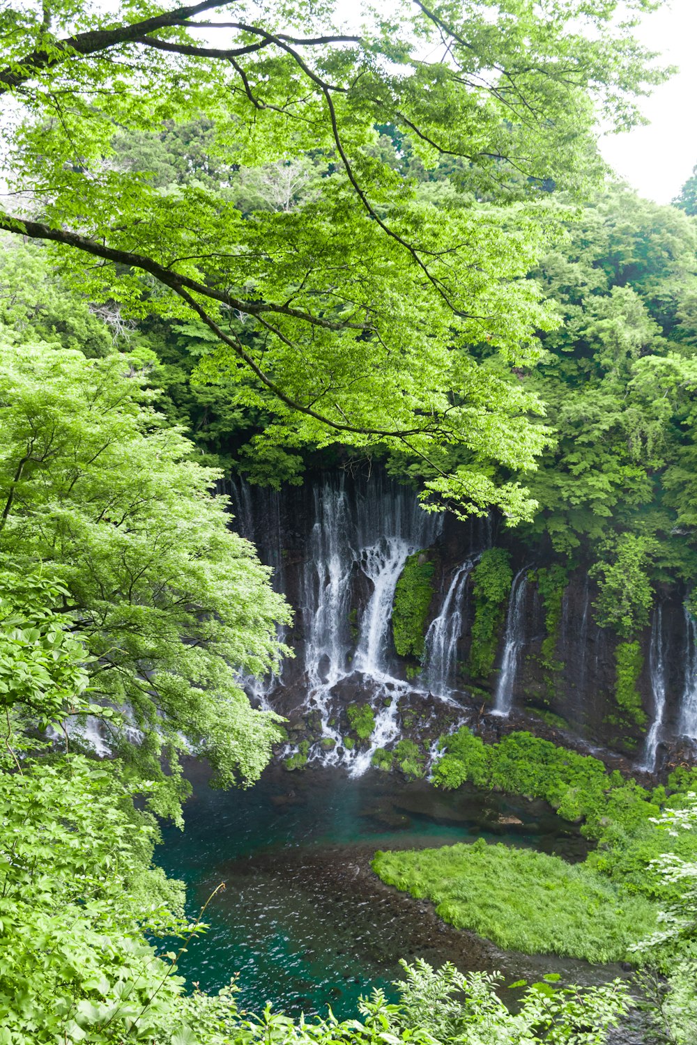 a waterfall in the middle of a lush green forest