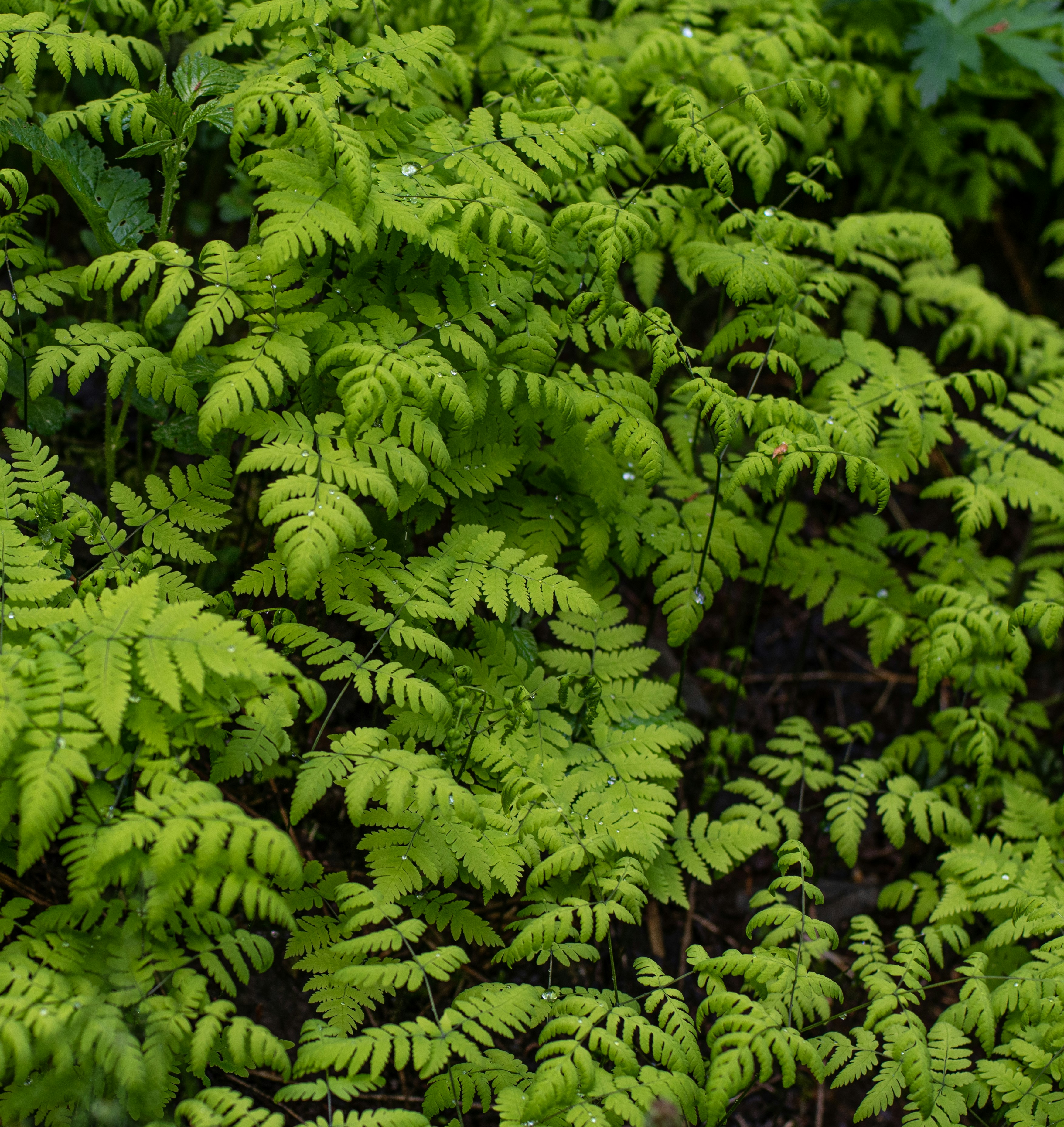 Photo by nataliaraylenegusakova