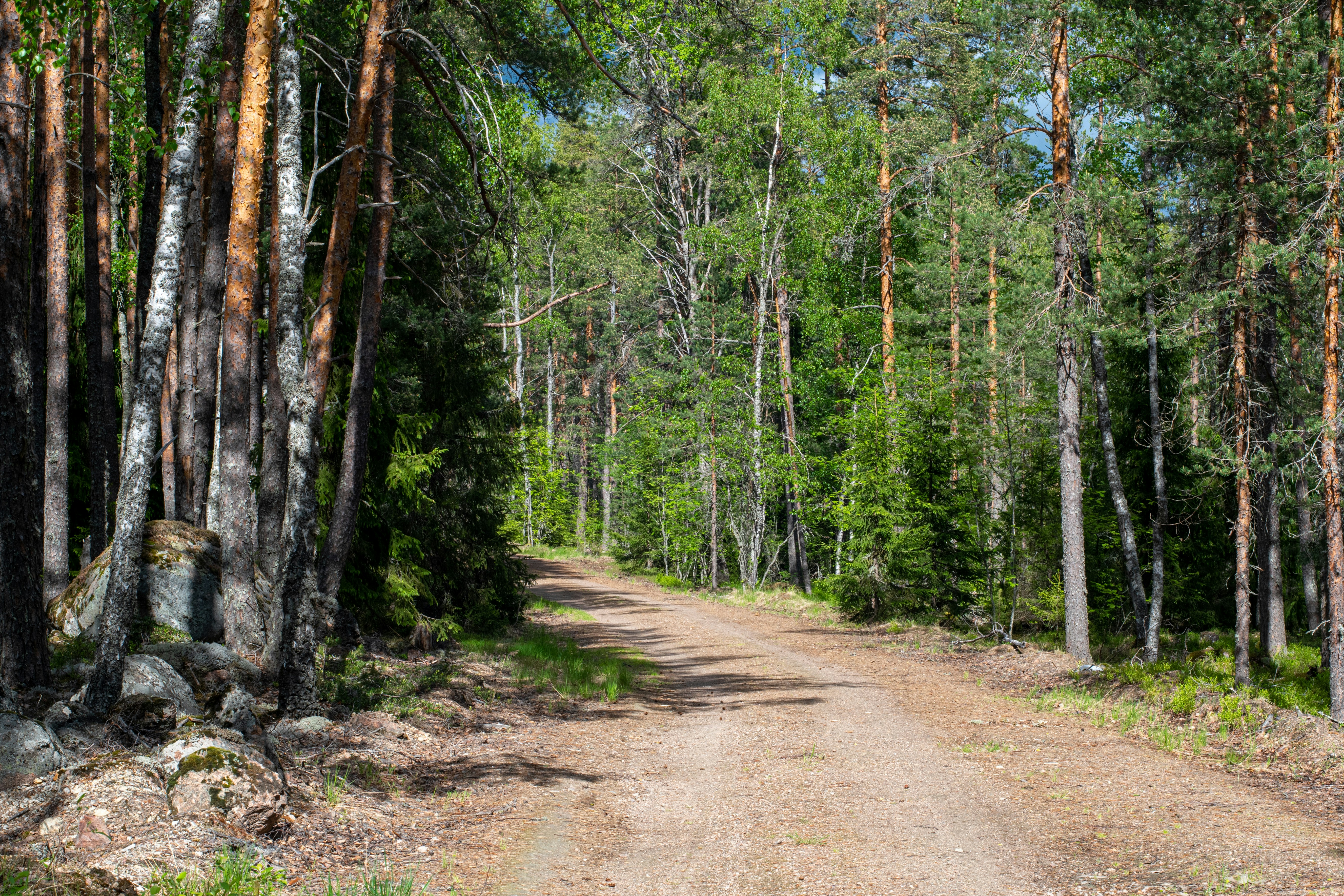 Photo by nataliaraylenegusakova