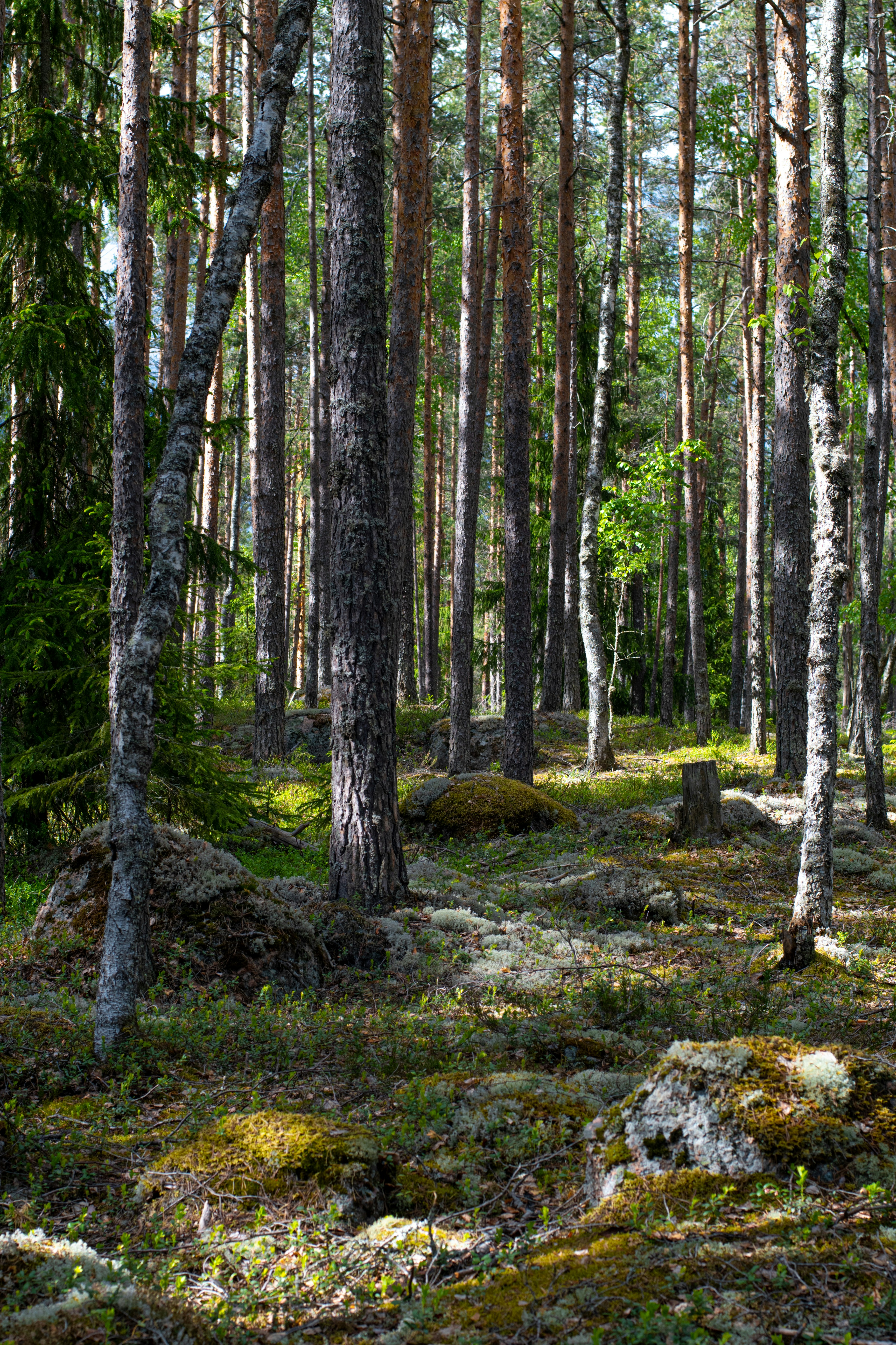 Photo by nataliaraylenegusakova