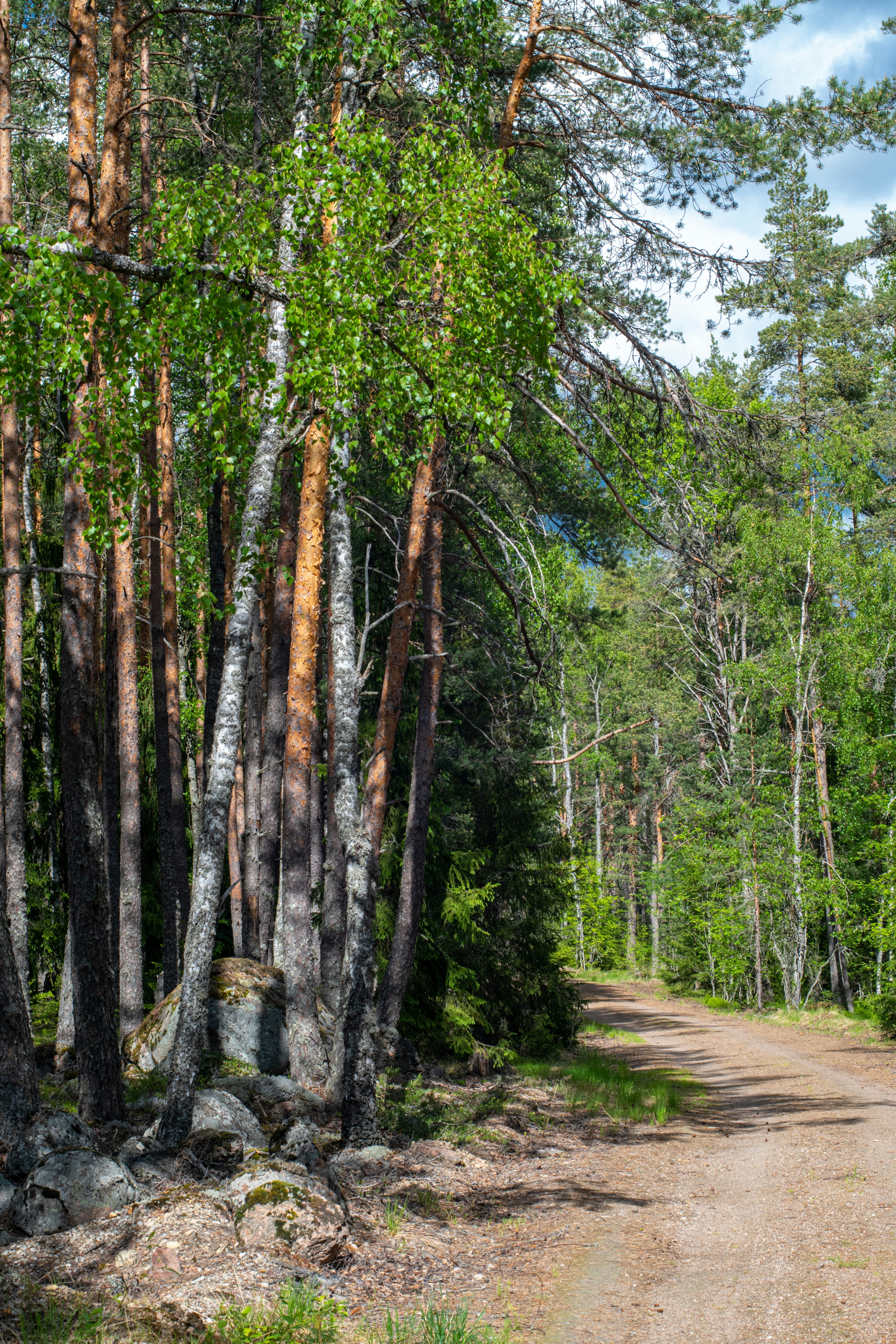 Photo by nataliaraylenegusakova