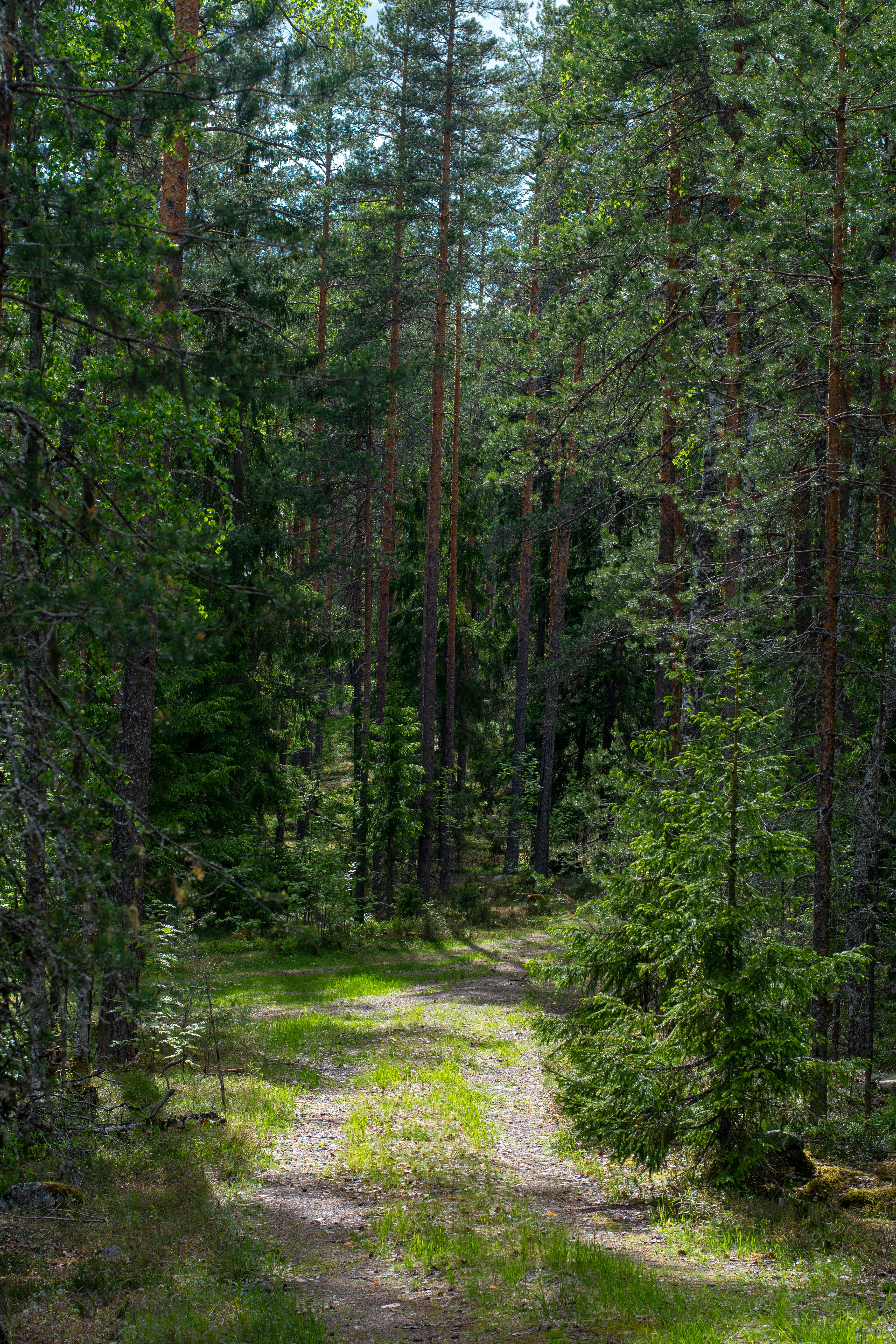 Photo by nataliaraylenegusakova