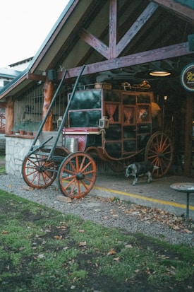 A vintage wooden carriage with large, red-spoked wheels is parked under a rustic wooden structure. The carriage is detailed with black and burgundy panels and small curtains. A dog stands nearby on the gravel path. The area is surrounded by green grass and fallen leaves.