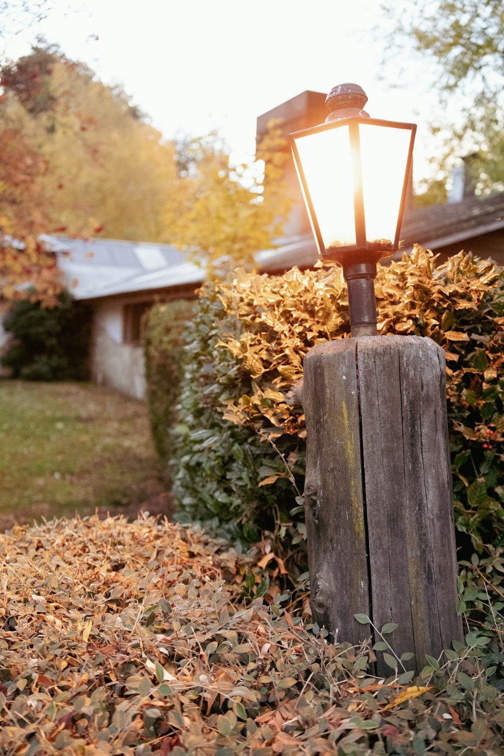 a street light sitting on top of a pile of leaves