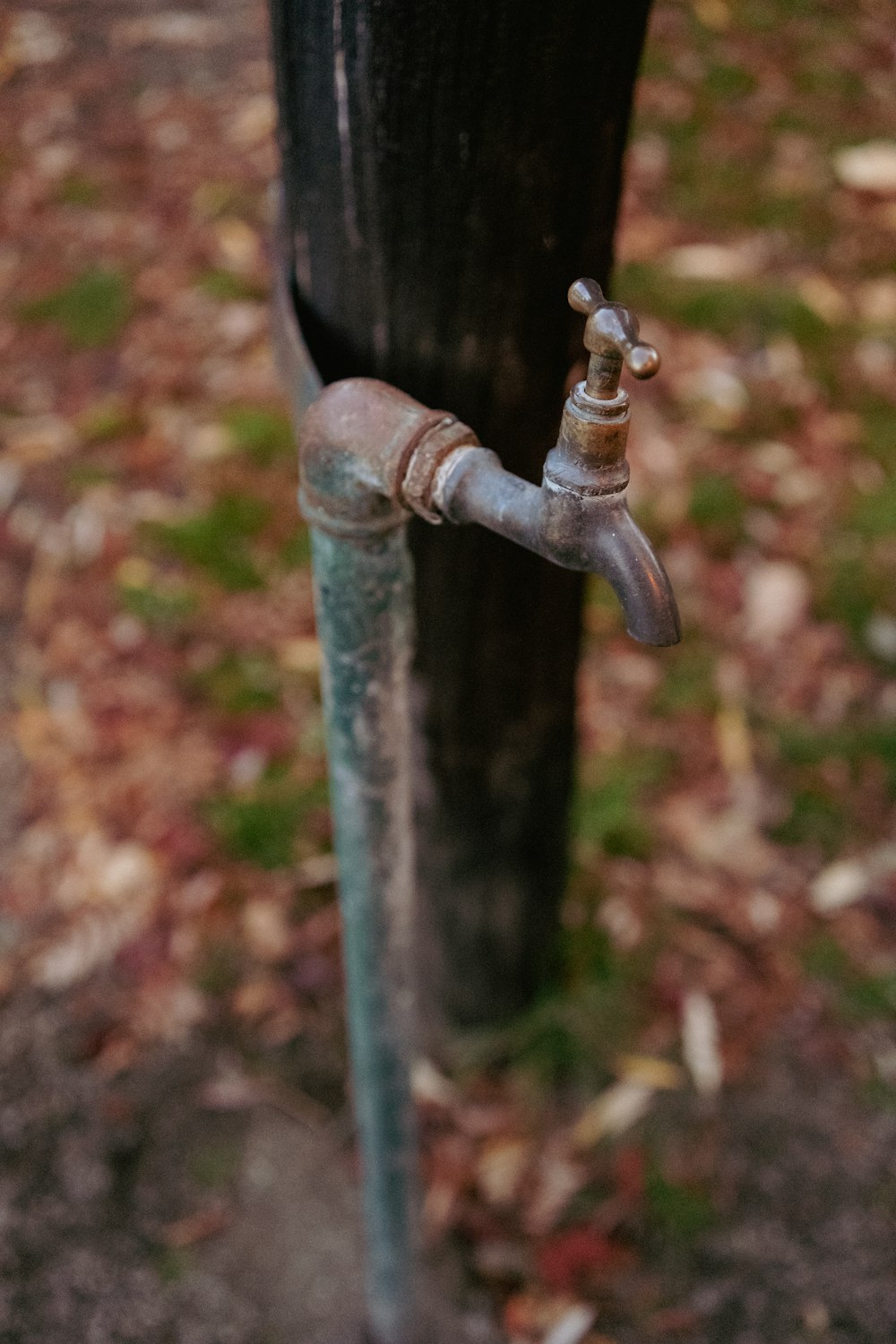 an old rusty pipe sticking out of the side of a wooden pole