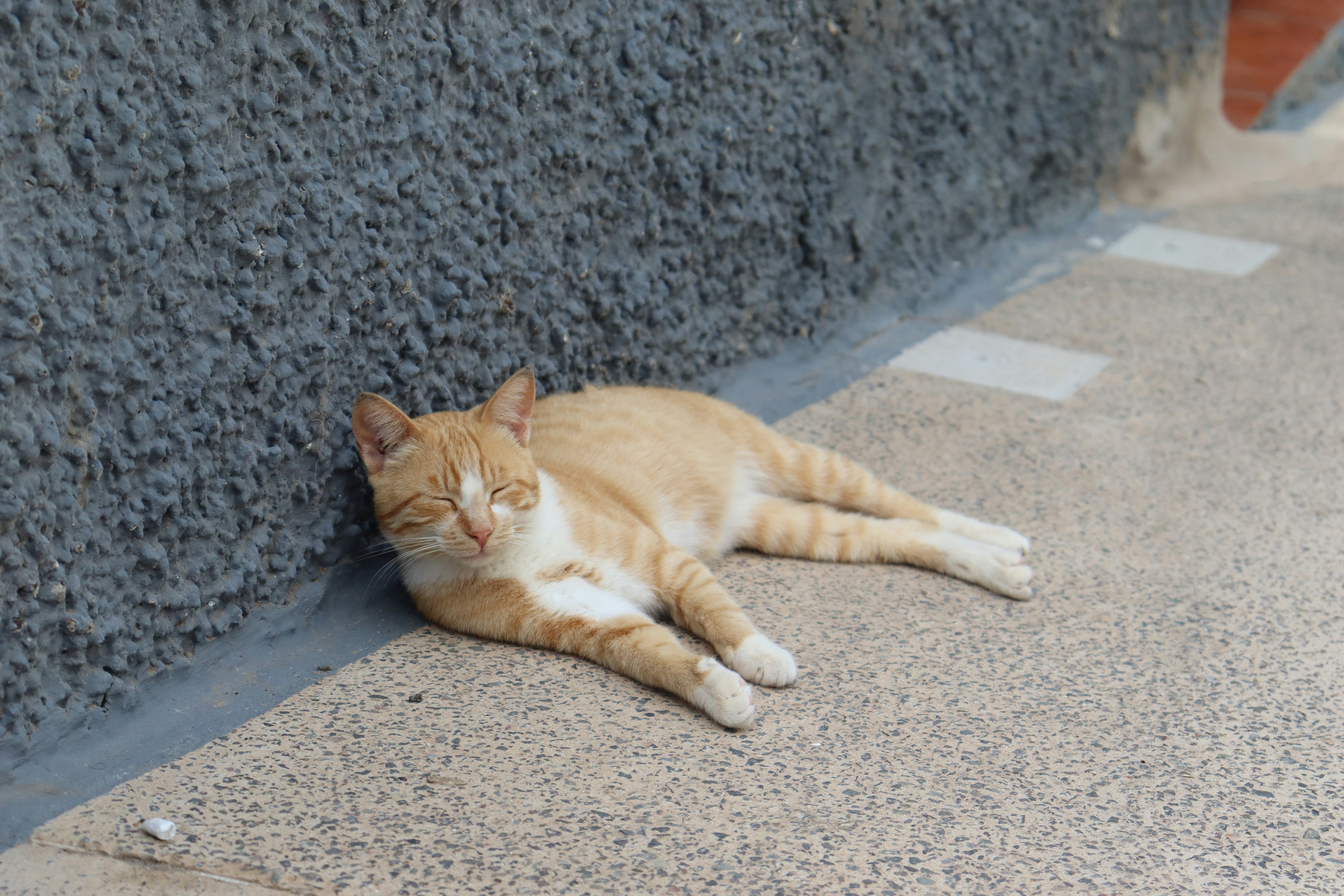 Photo by alicja_photos