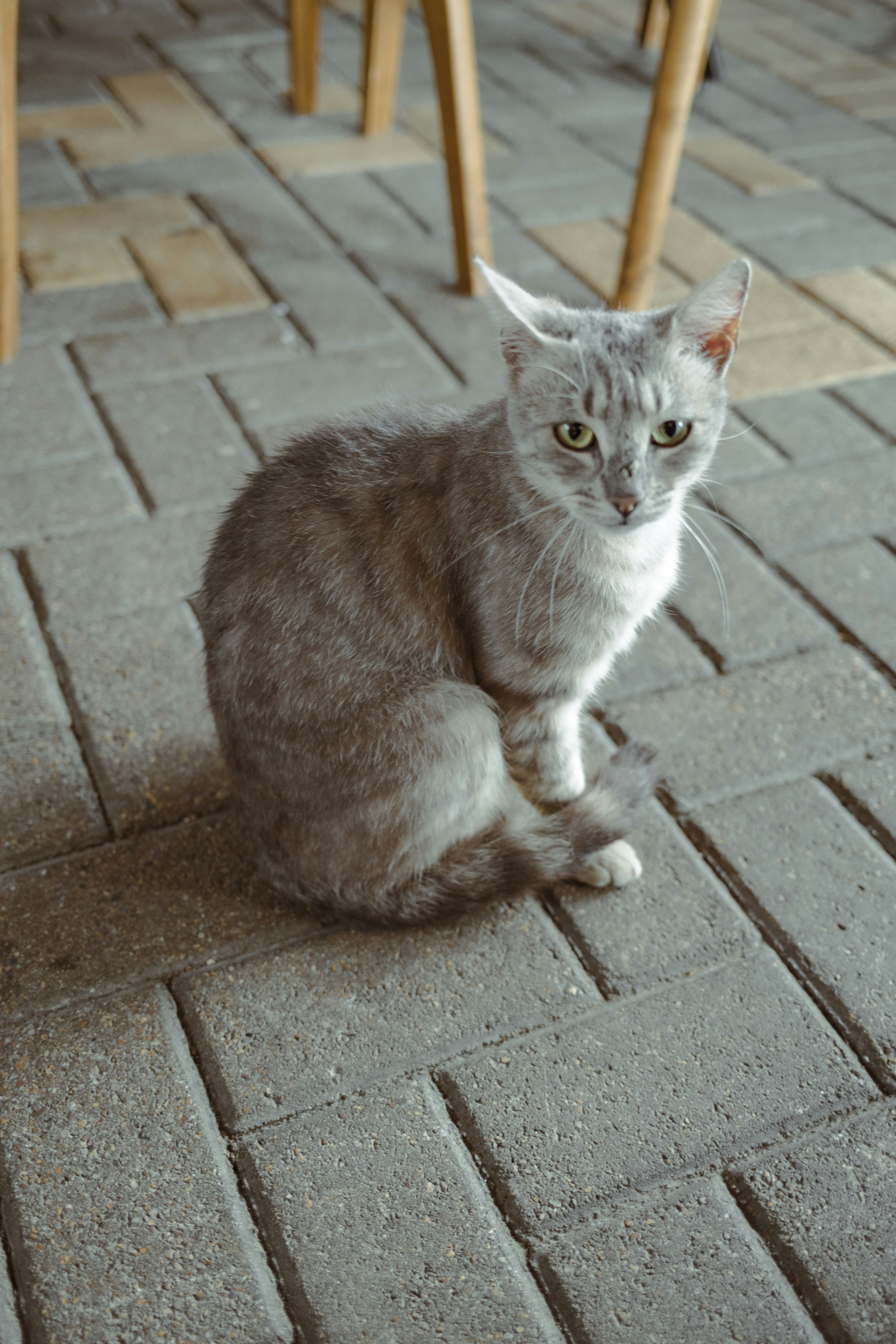 Photo by hvidkanin89