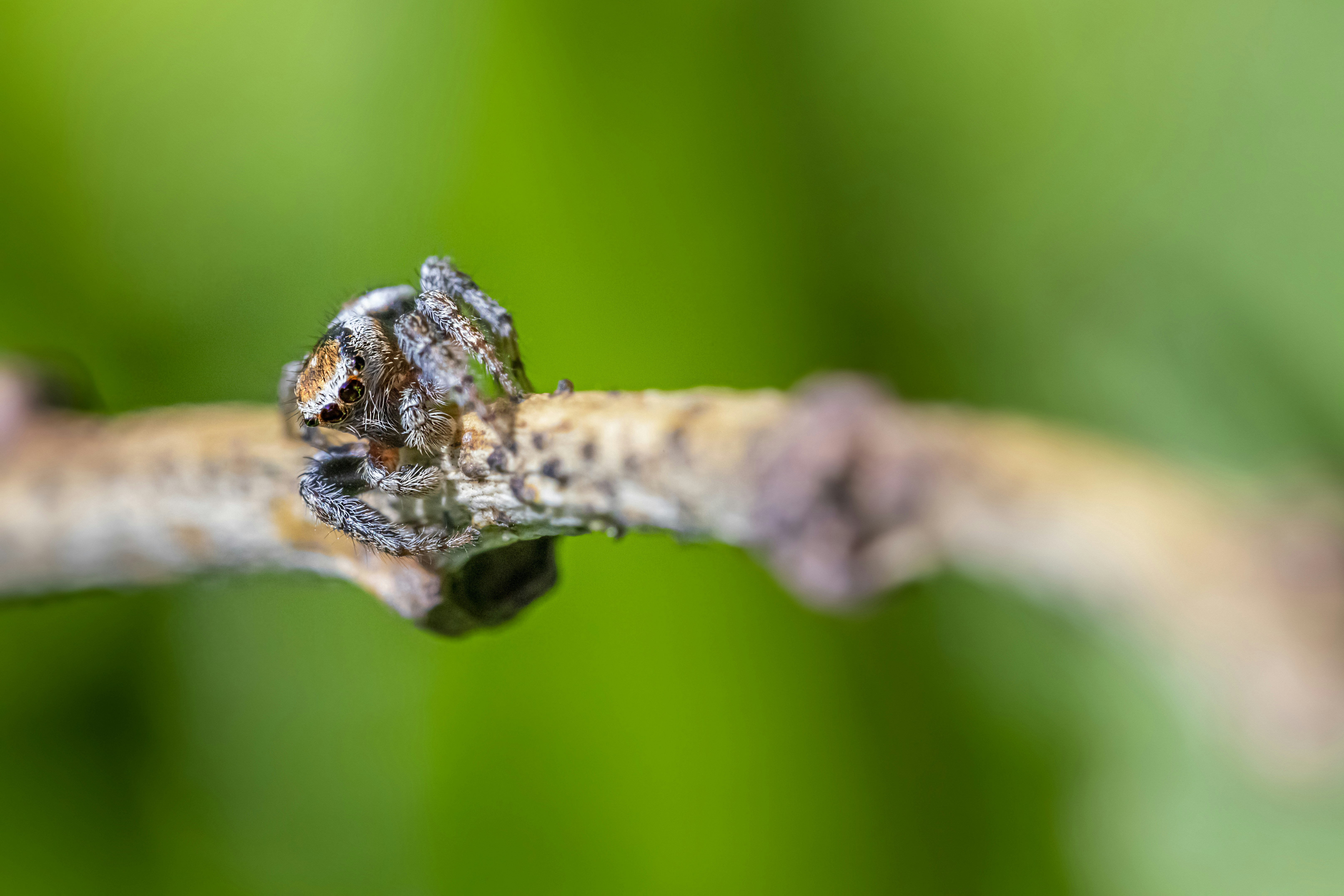 Photo by erik_karits