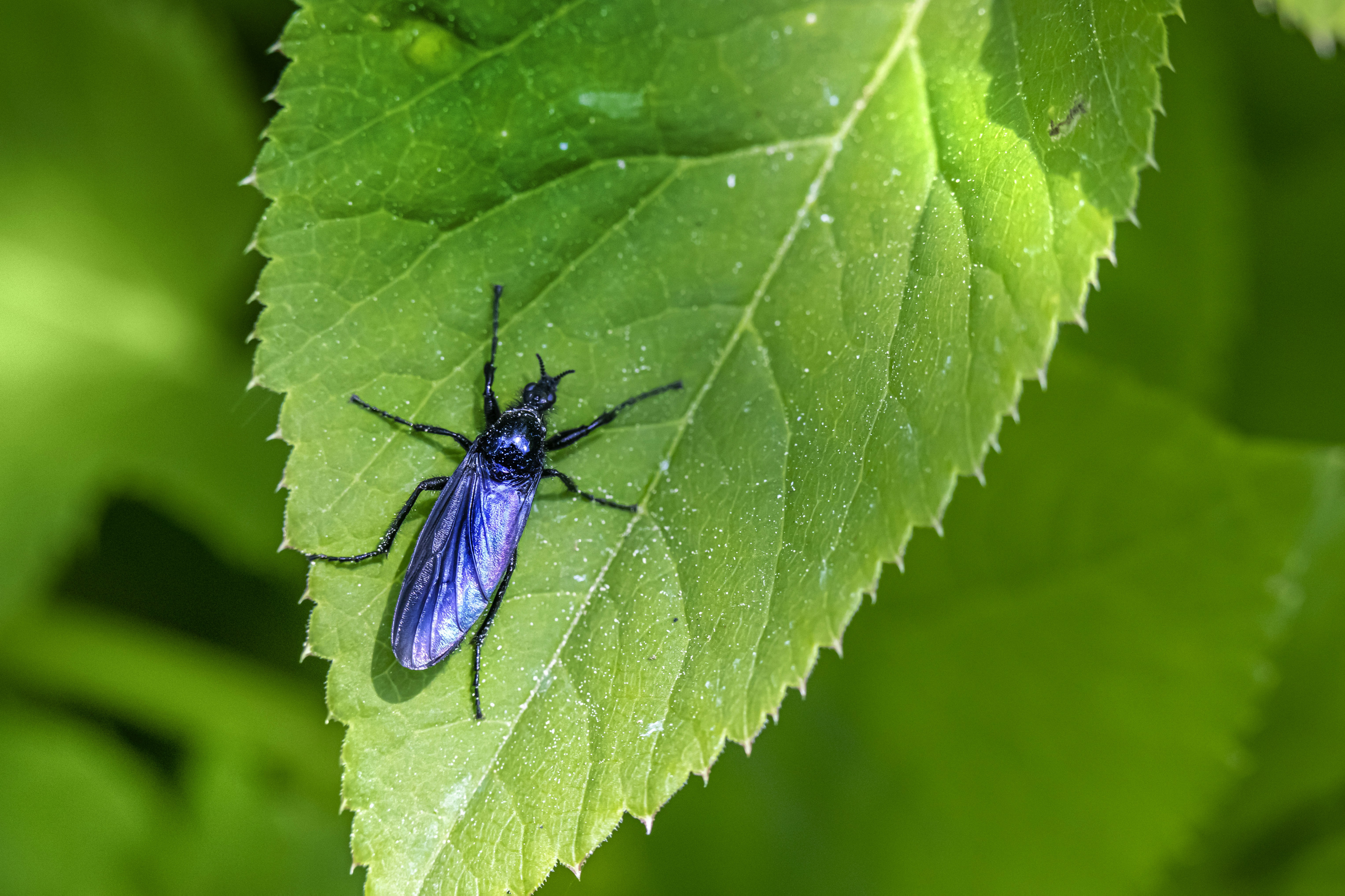 Photo by erik_karits