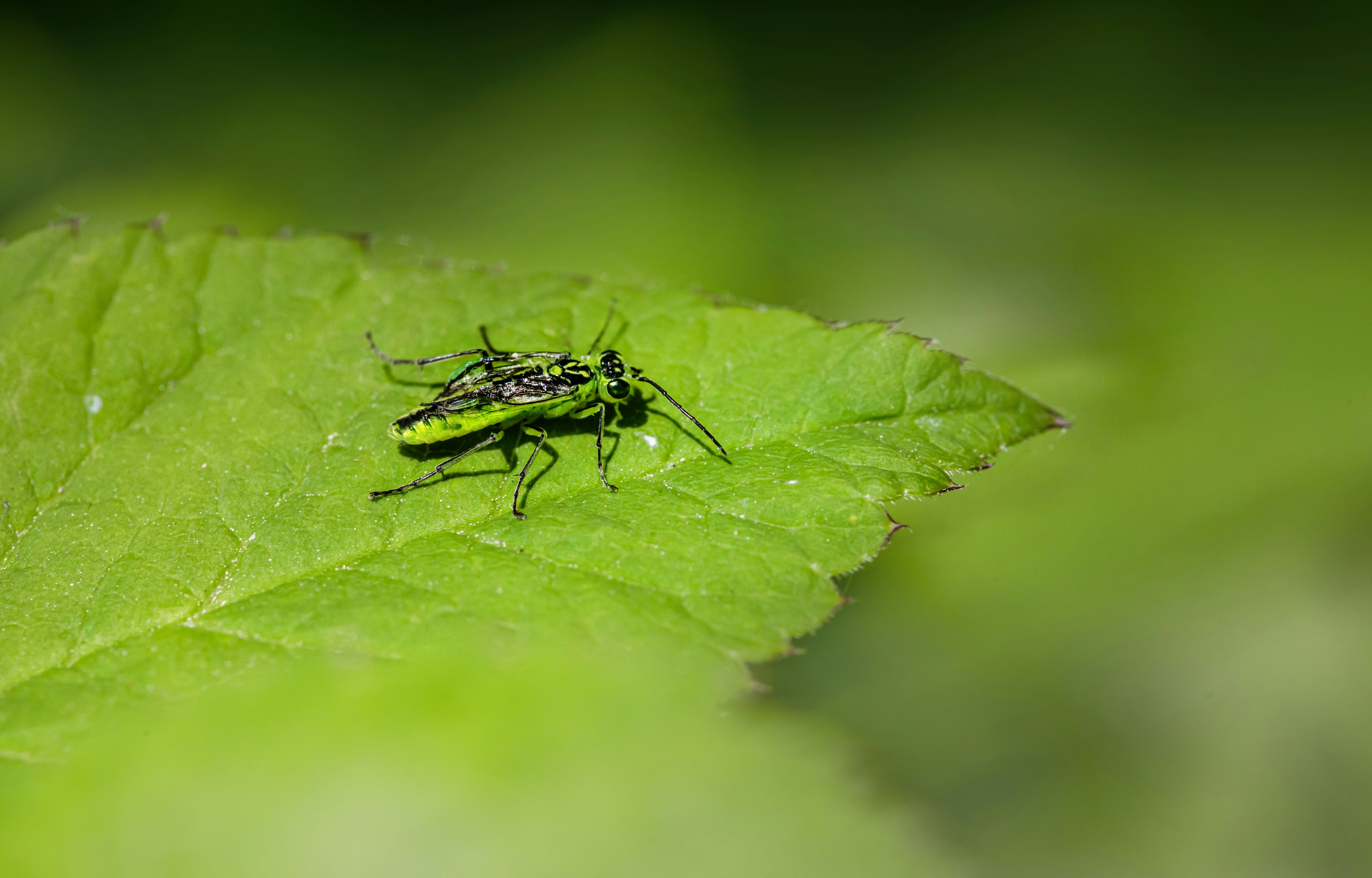 Photo by erik_karits