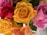 A close-up of a vibrant bouquet of assorted roses in various colors.