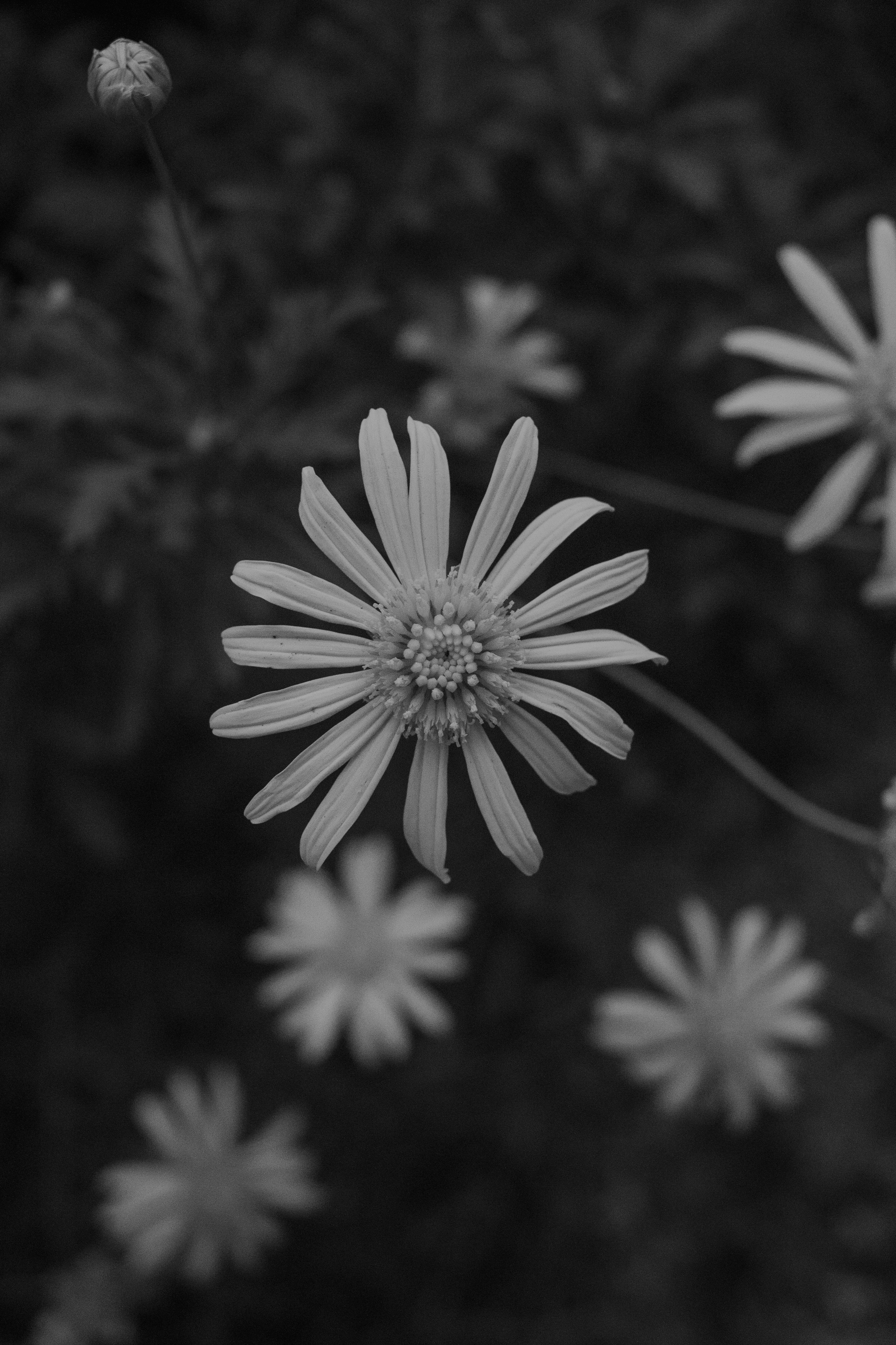 Photo by ashford_marx