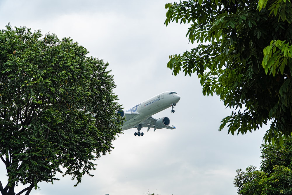 an airplane is flying low over the trees