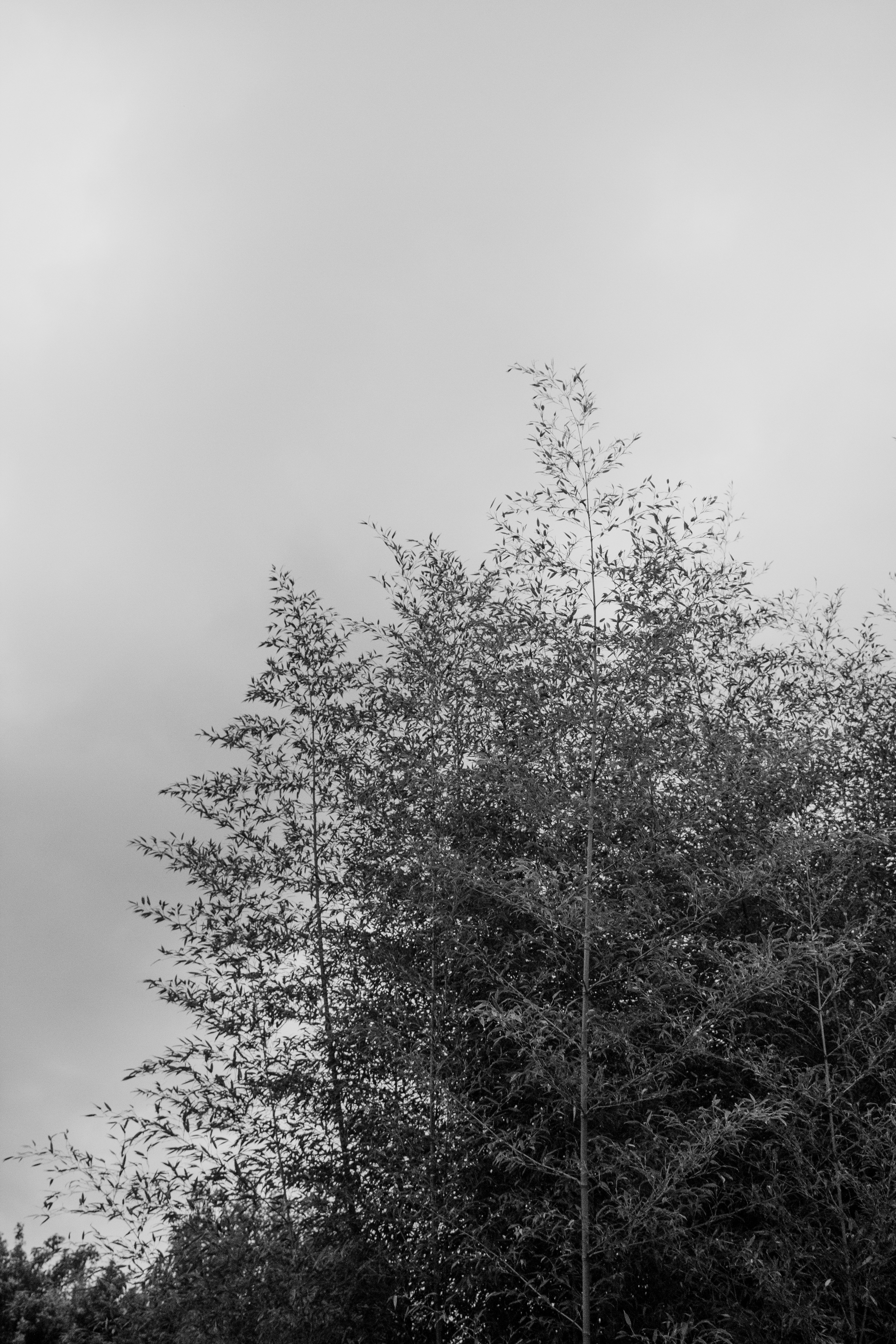 Photo by ashford_marx