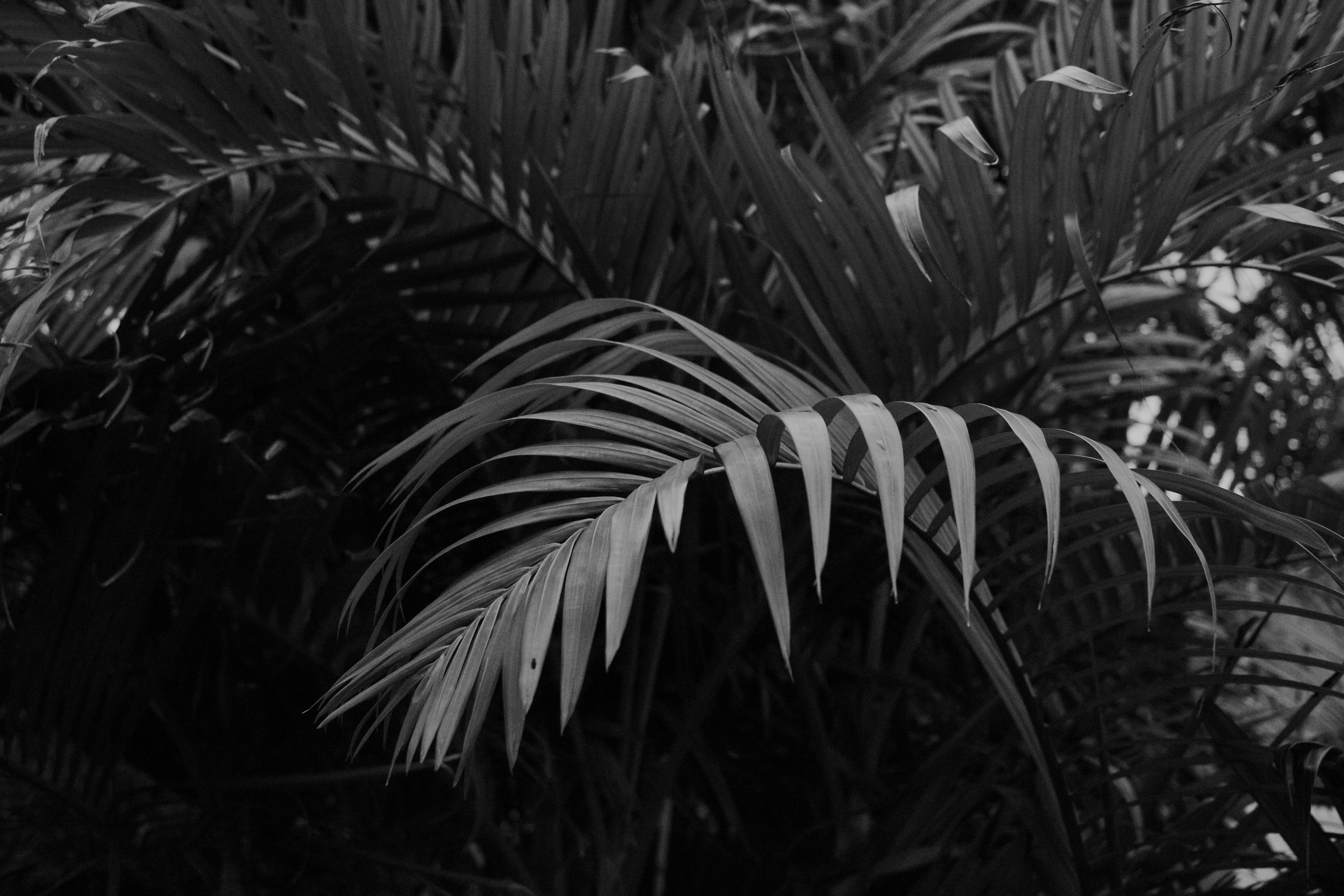 Photo by ashford_marx