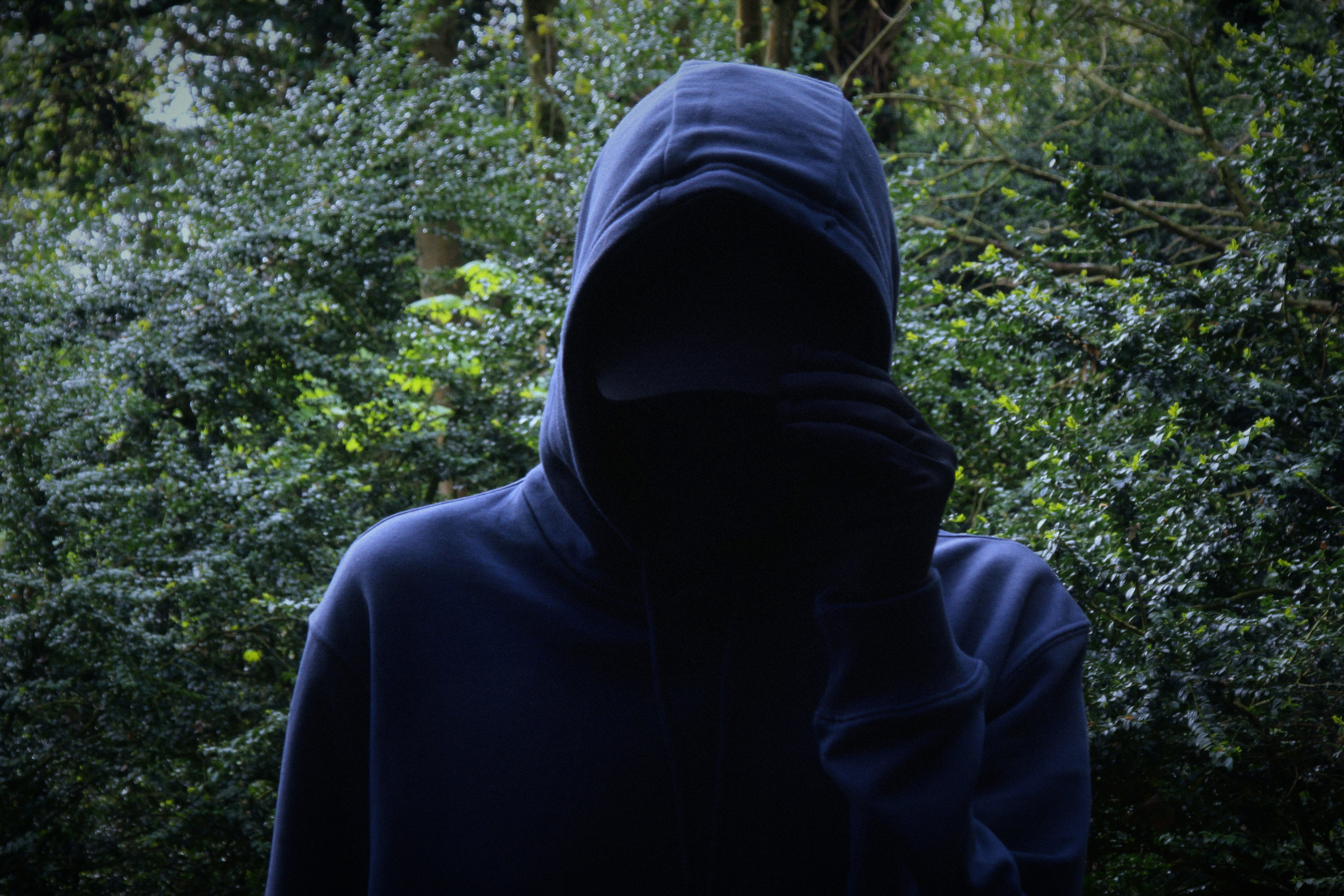 Sudadera Bosque Profundo