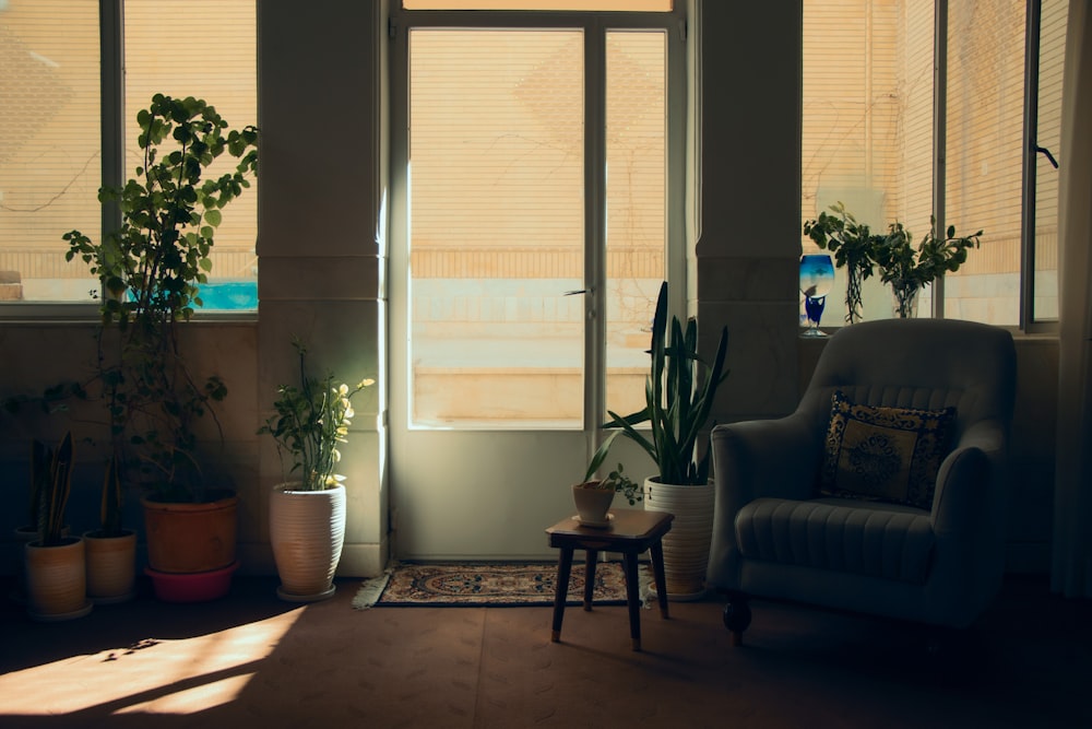 a living room with a chair and potted plants