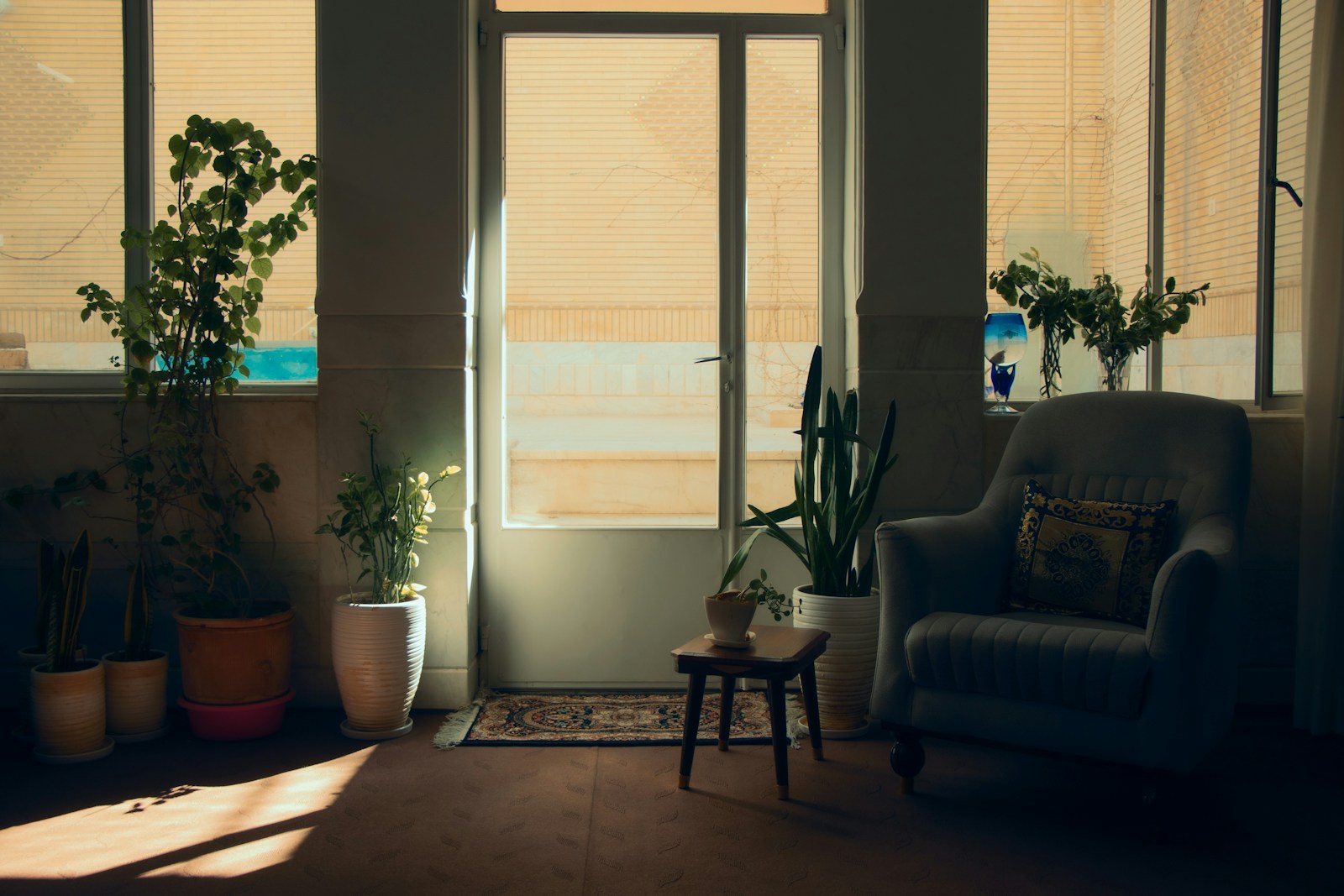 Un sillón junto a plantas y una ventana con luz natural