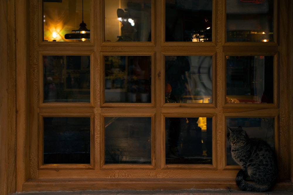 a cat sitting in front of a window at night