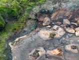 Steaming outdoor onsen bath nestled among moss-covered stones and greenery.