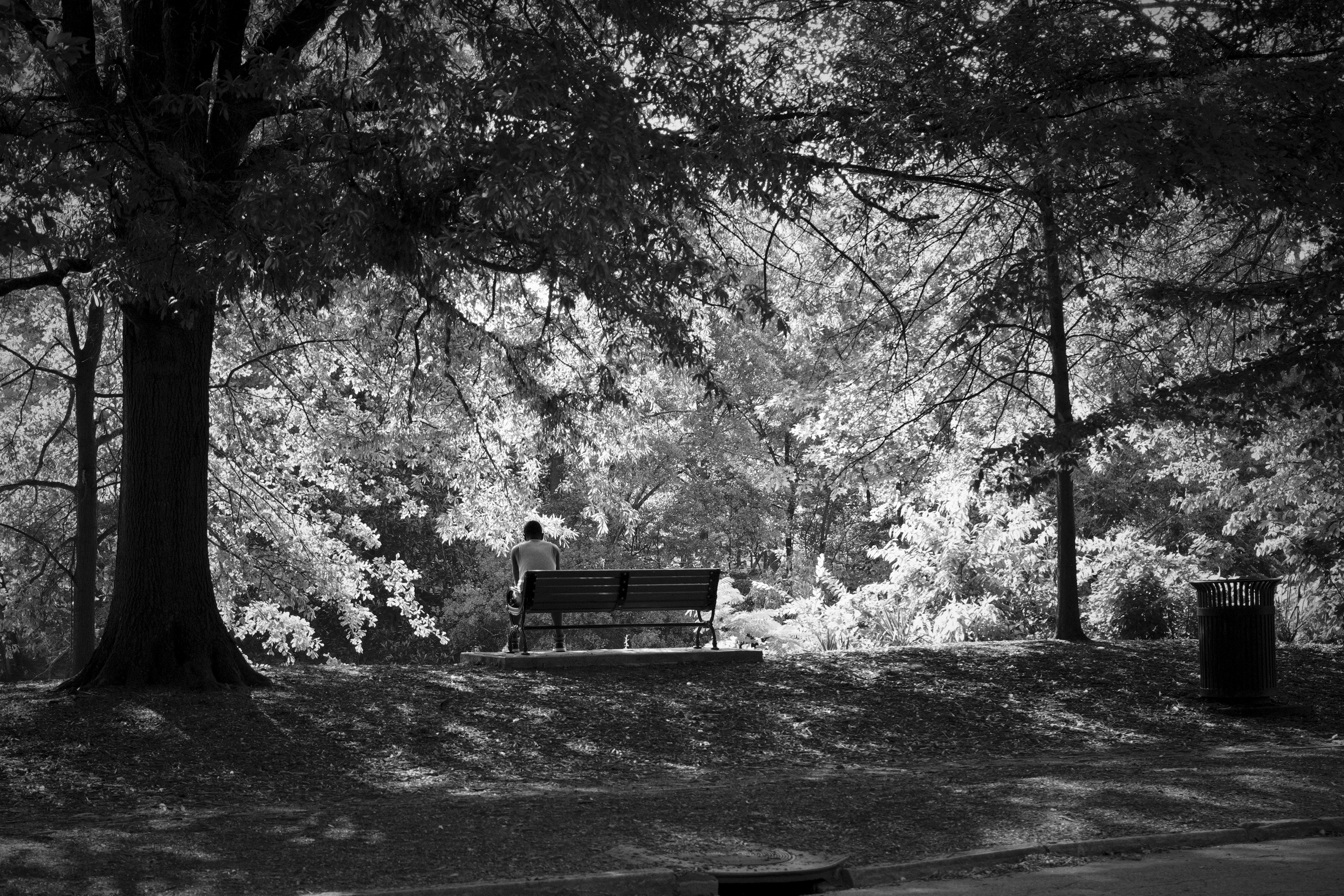 Photo by sainthilaireco