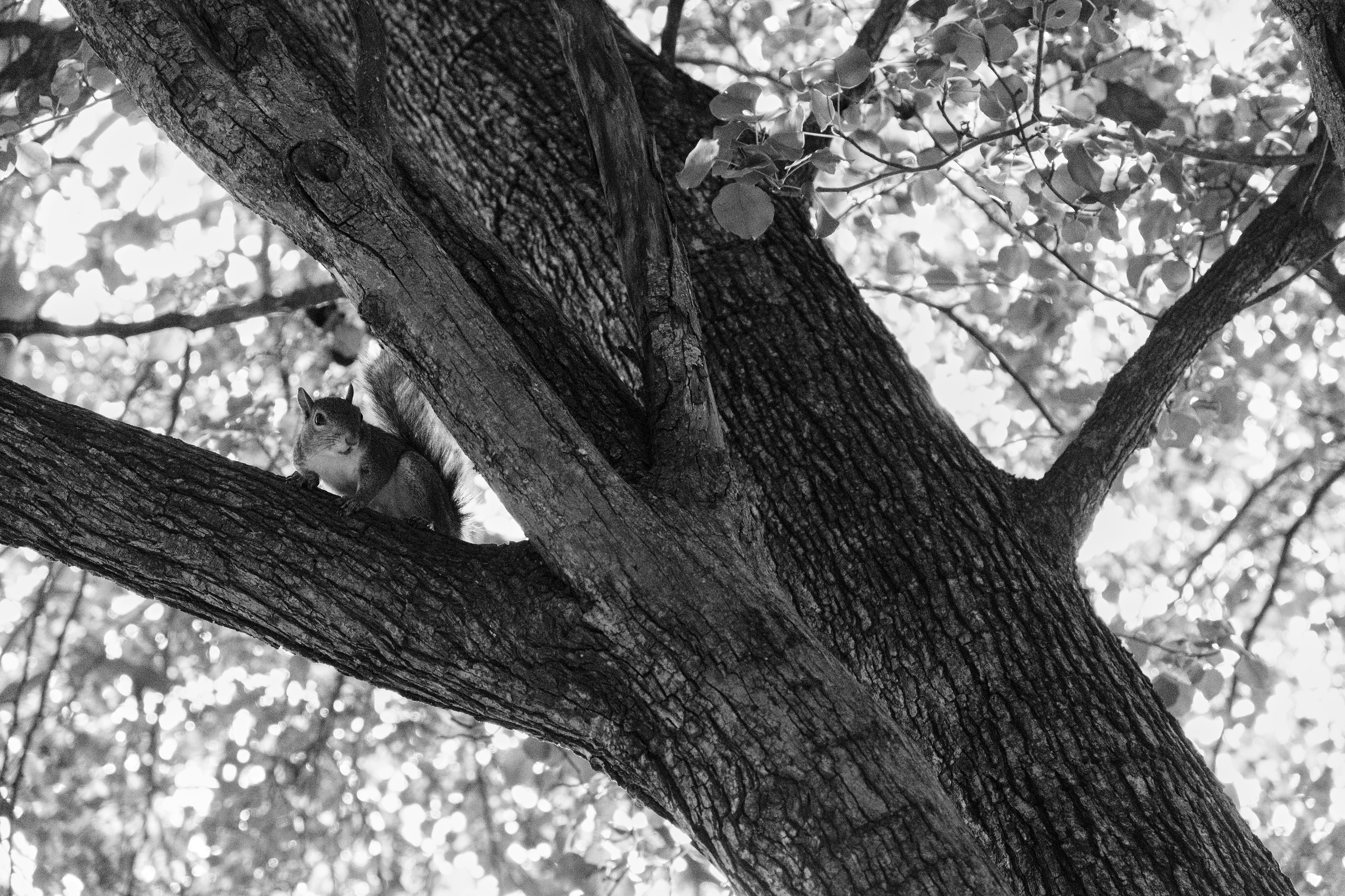 Photo by sainthilaireco