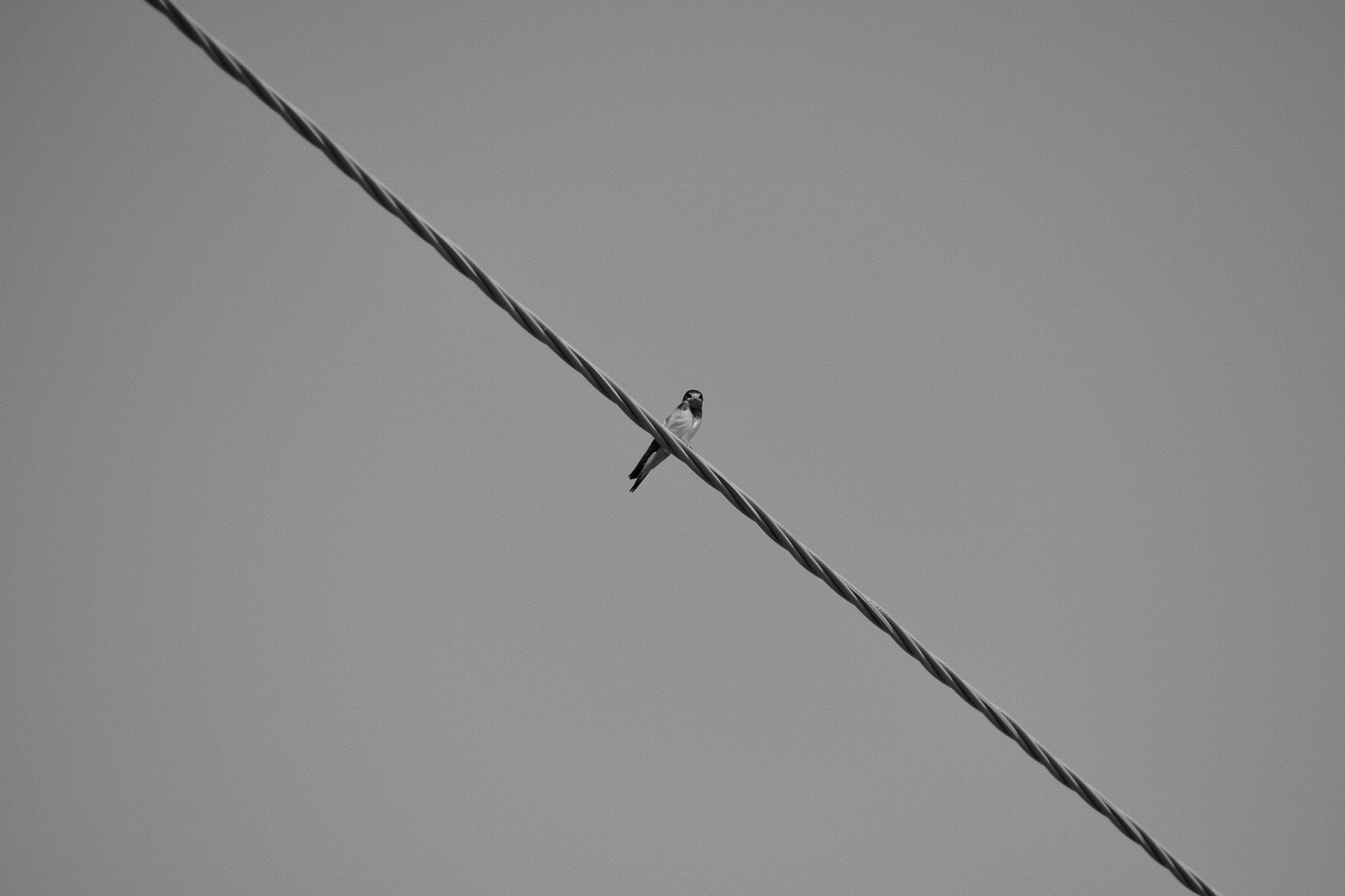 有線LAN 配線関連画像(1)