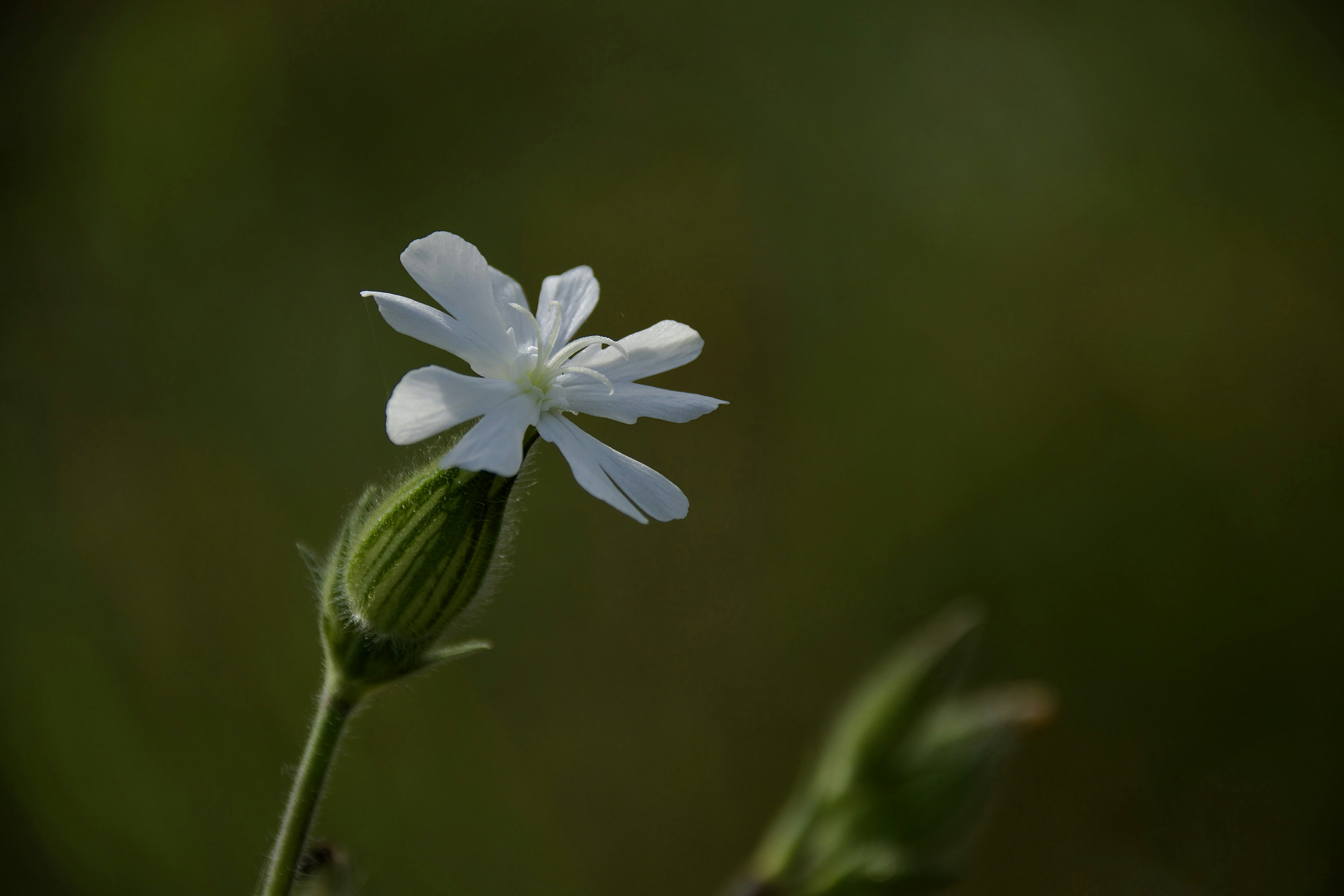 Photo by mariobeducci