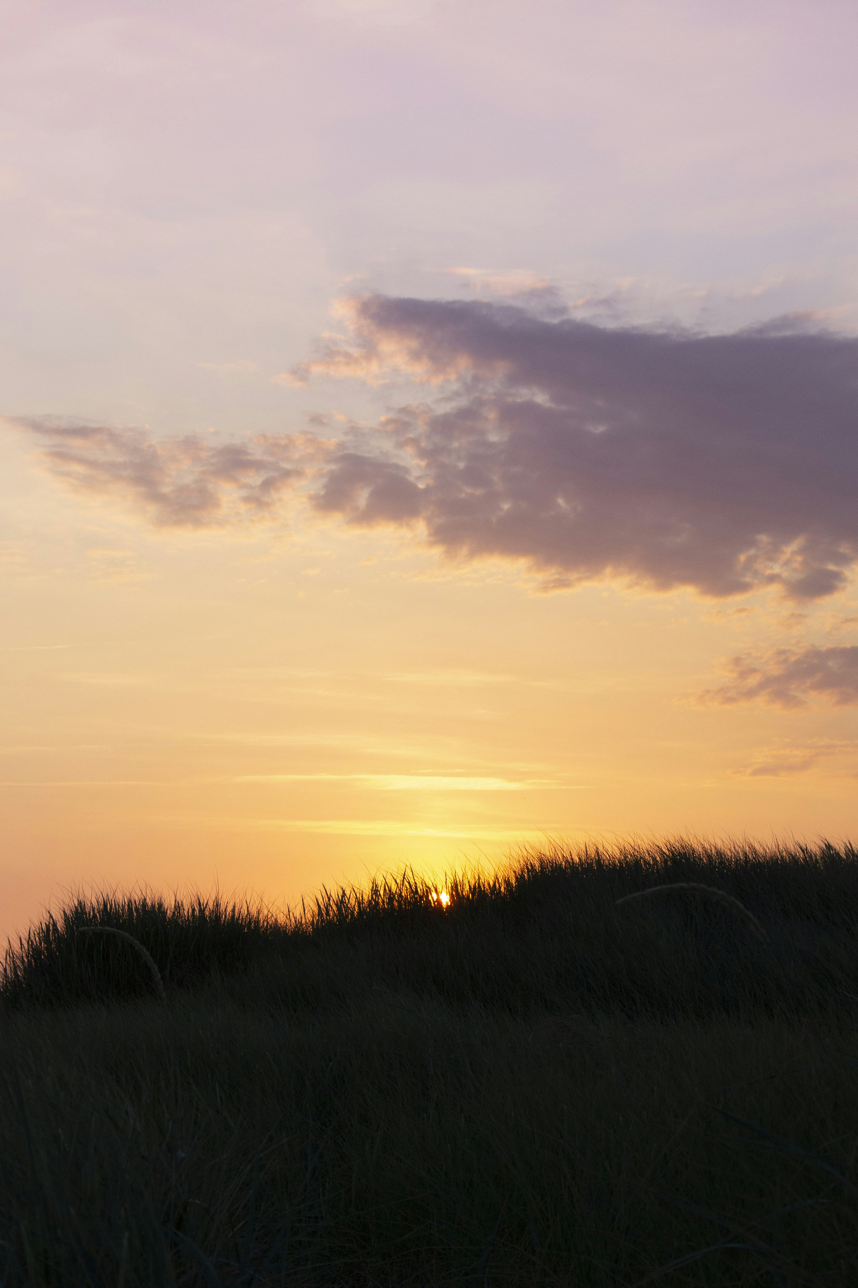 Photo by robin___the___bird