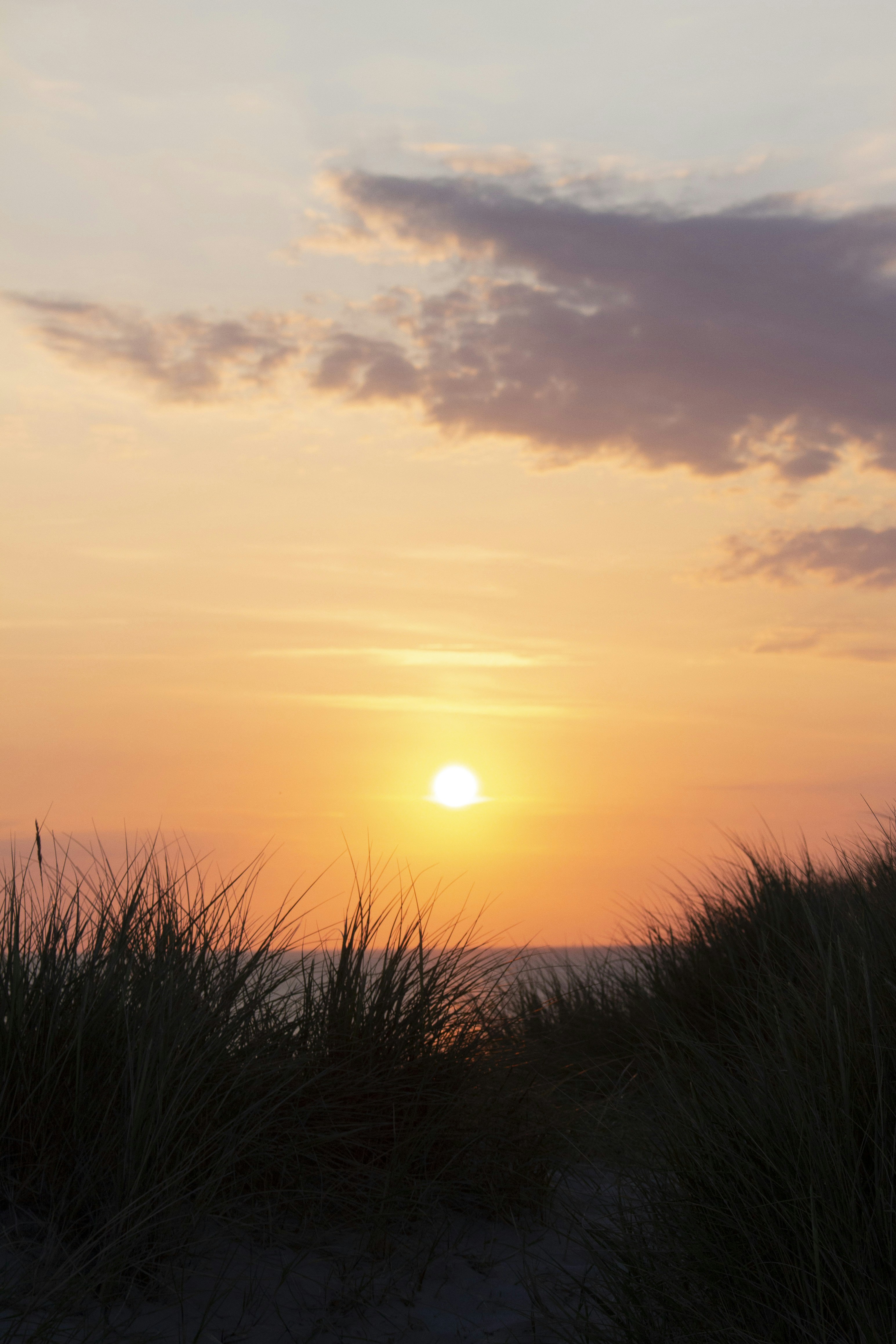 Photo by robin___the___bird