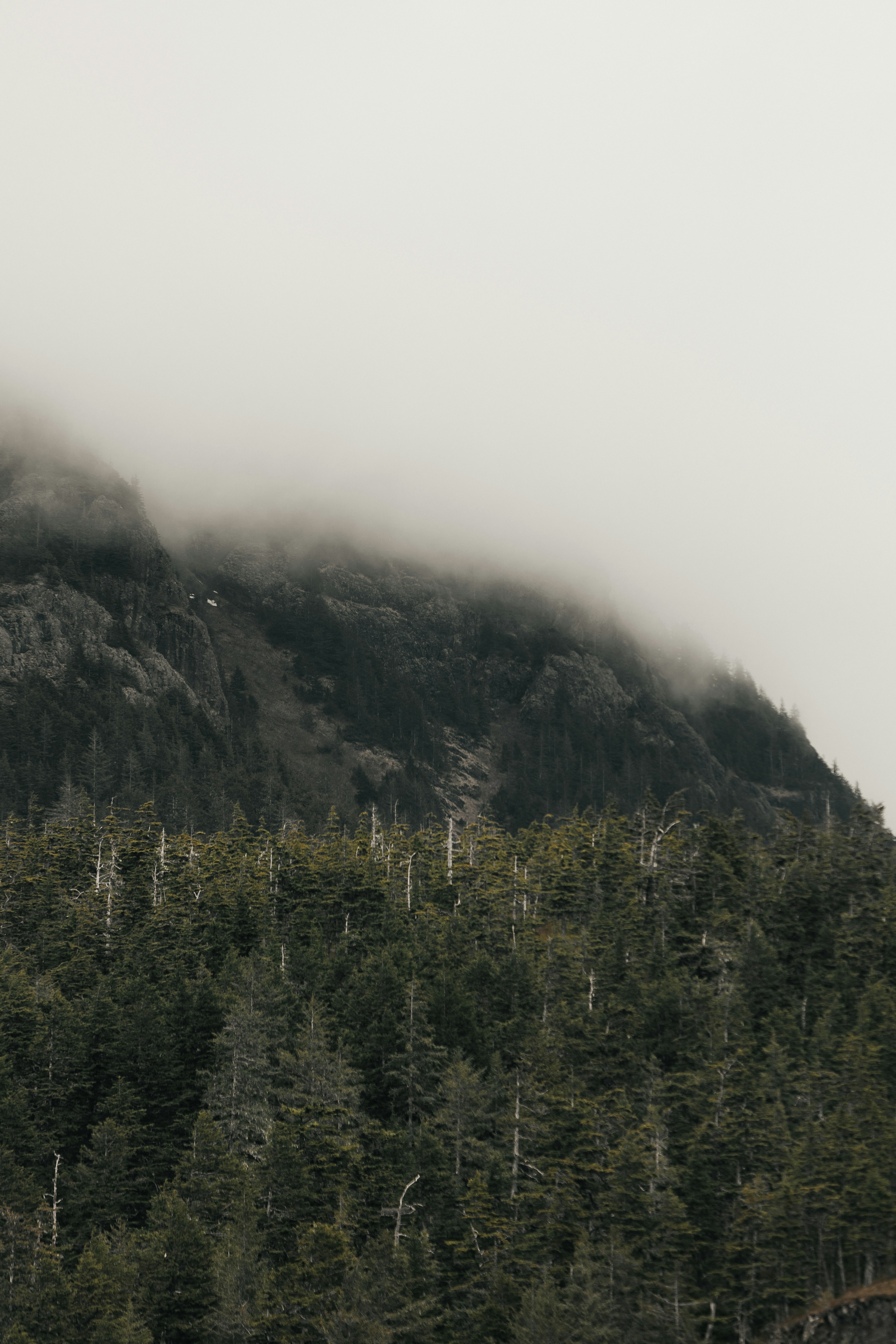 Ein Berg, der in Nebel und tiefliegende Wolken gehüllt ist