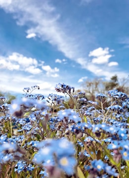 Freshly filled soil area with clear blue sky background.