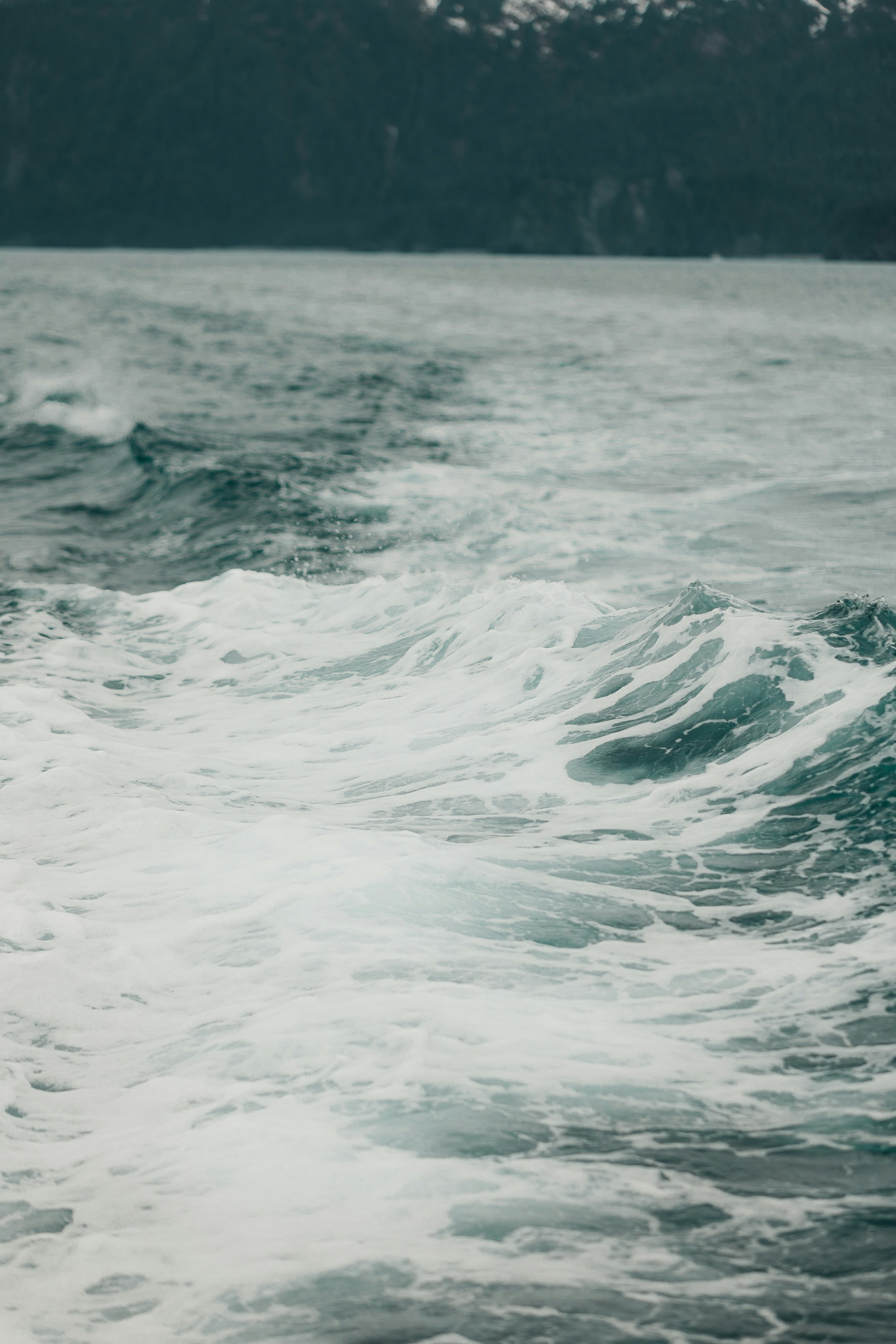 Photo by andrew_creative