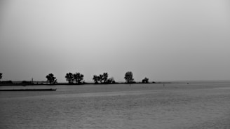 A serene black and white landscape painting.