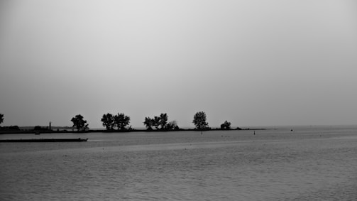 A serene black and white landscape painting.