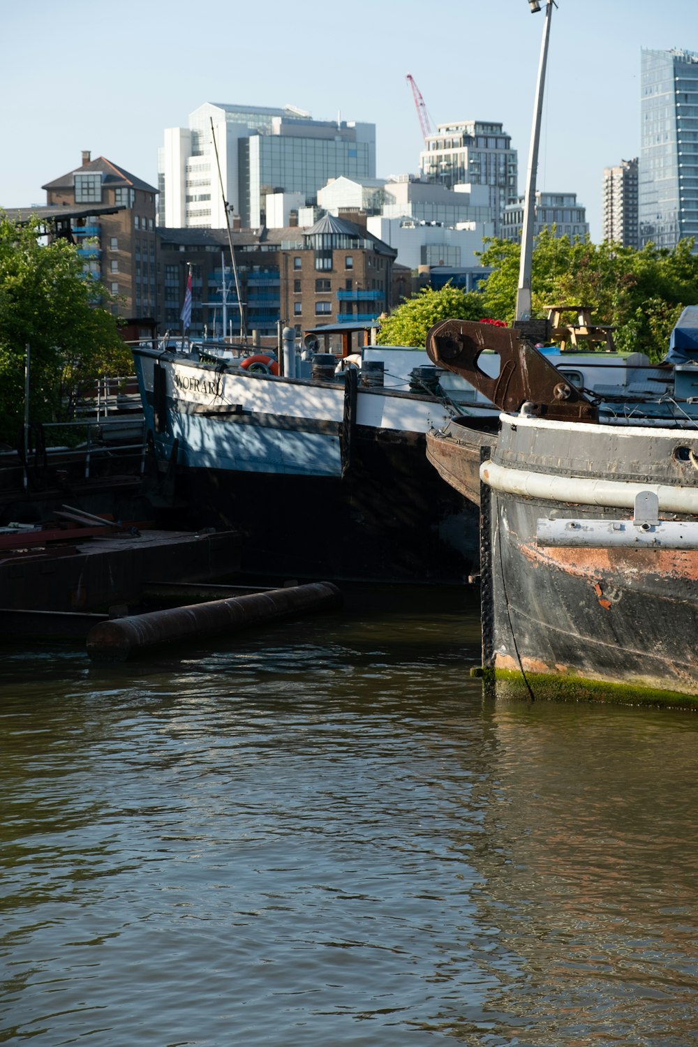 a dog is sitting on a boat in the water