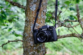 a photocamera as a hobby in burnout