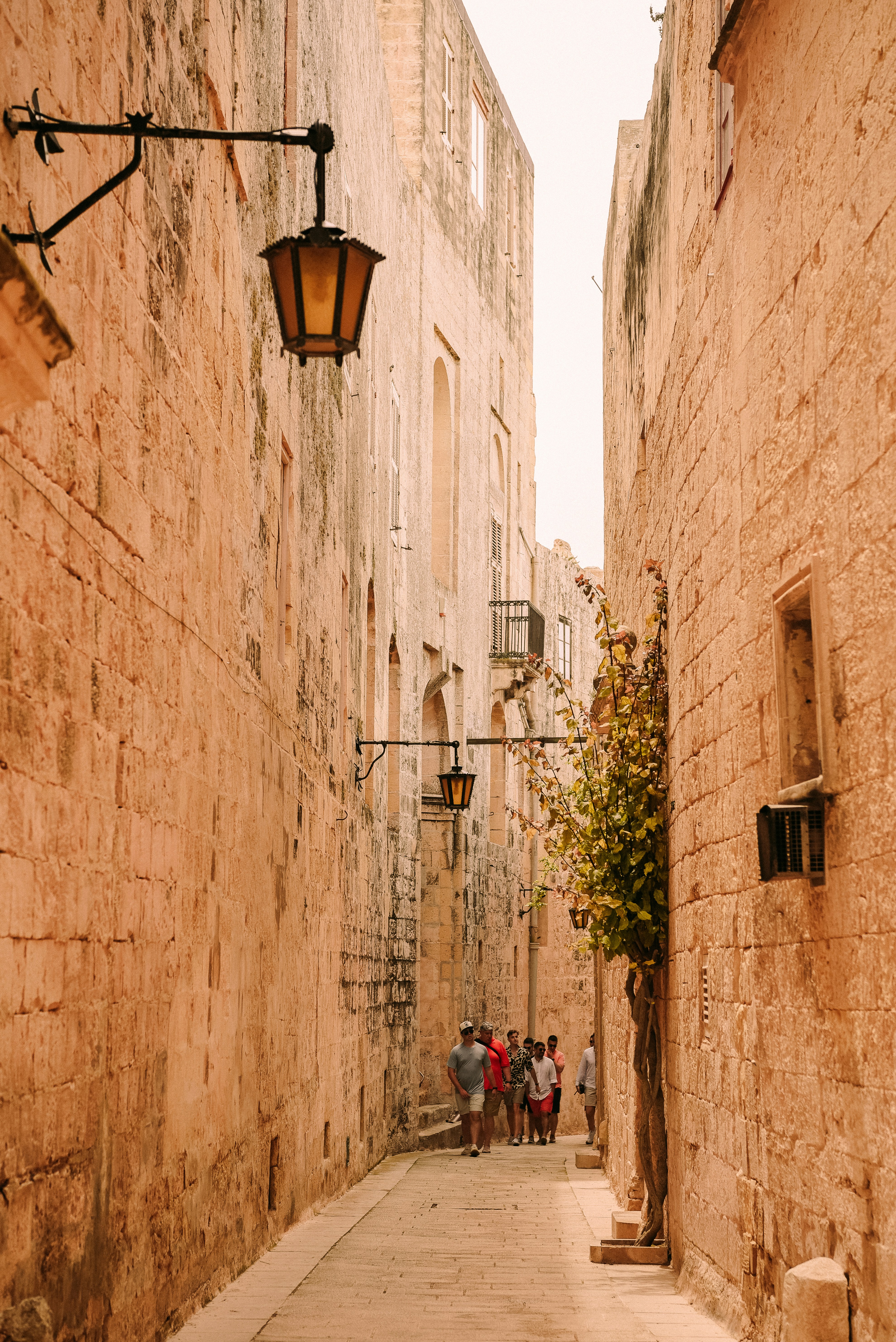 Photo by shotsbytania