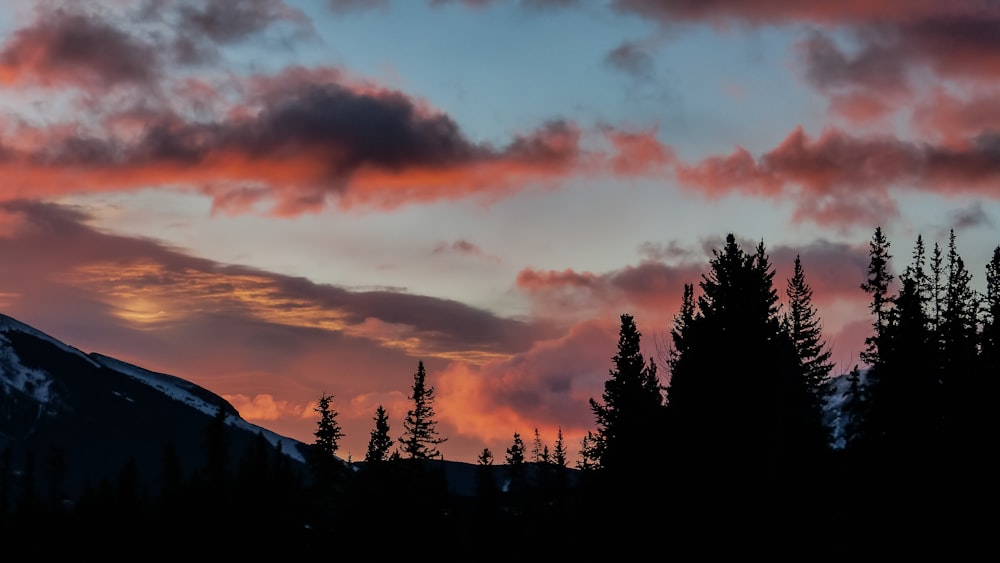 a sunset with clouds and trees in the foreground