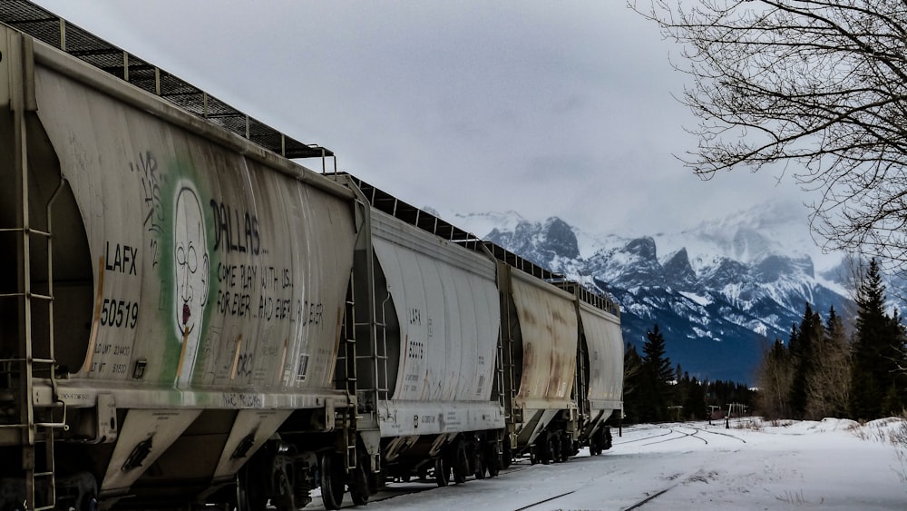 Un tren que viaja por las vías del tren junto a montañas cubiertas de nieve