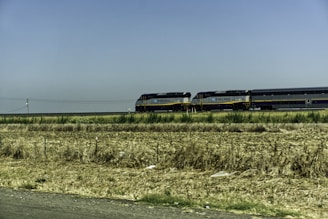 A train travels through a rural area with two locomotives pulling several passenger cars. The landscape features dry grass fields and sparse greenery under a clear blue sky.