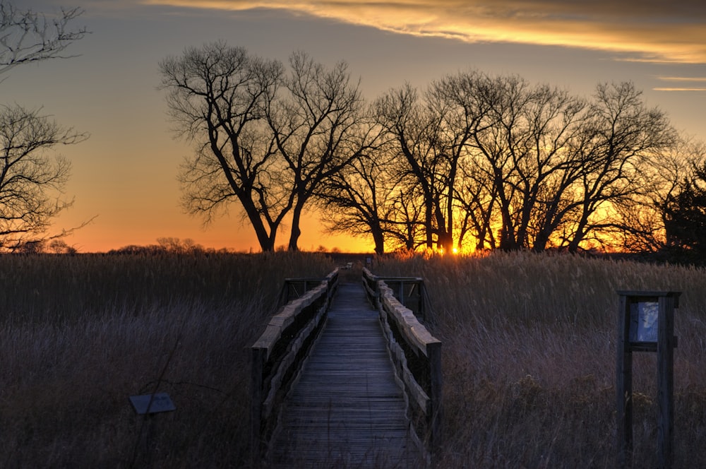 a wooden bridge in a field with trees in the background