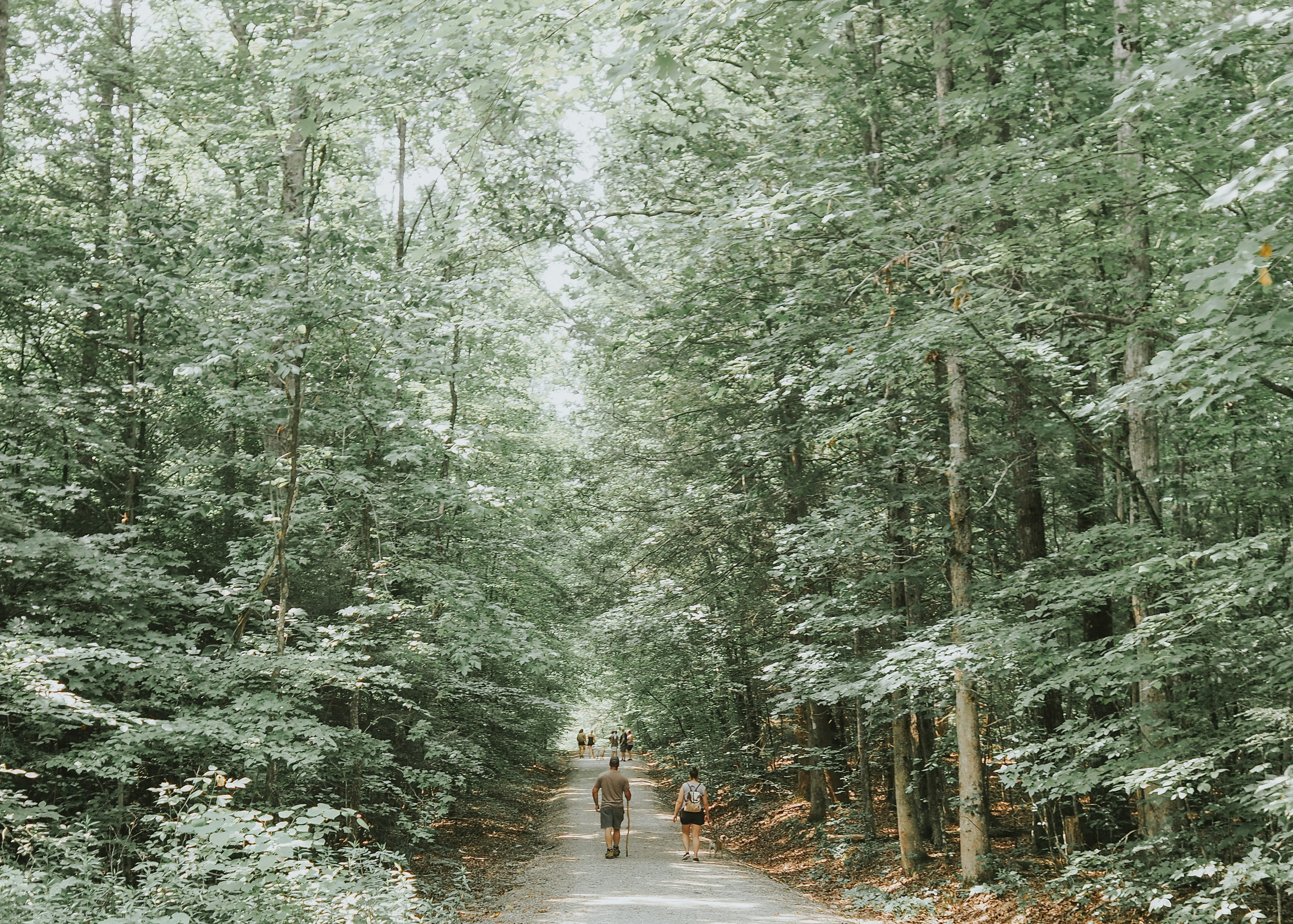 Photo by fieldworkframes