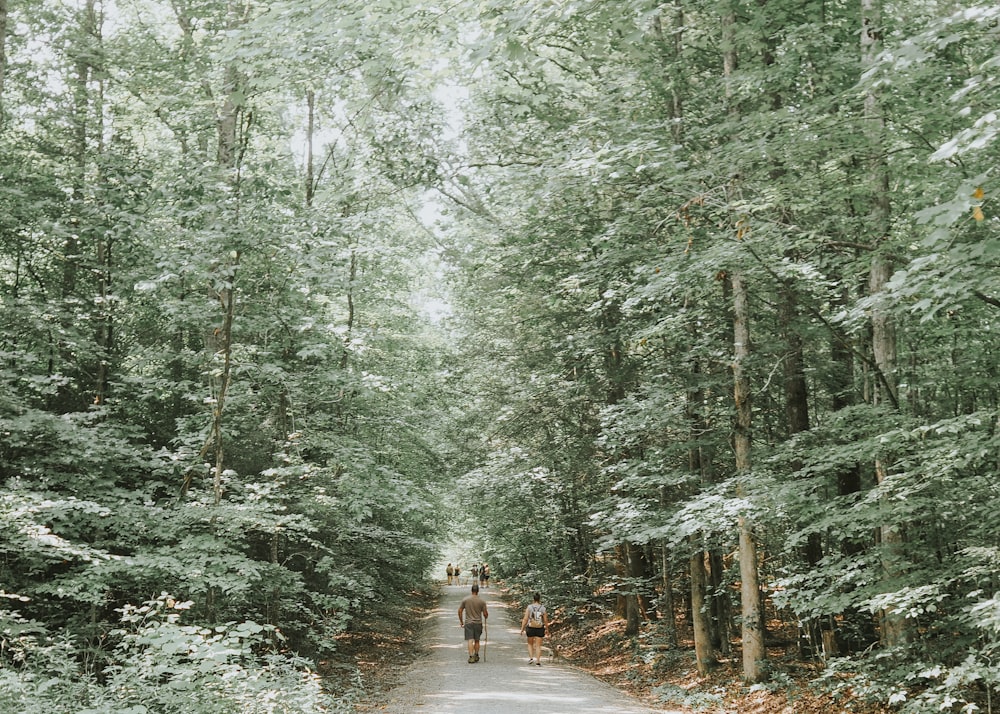 two people walking down a road in the woods