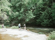 A group of dogs happily exploring a natural riverbank within the facility.